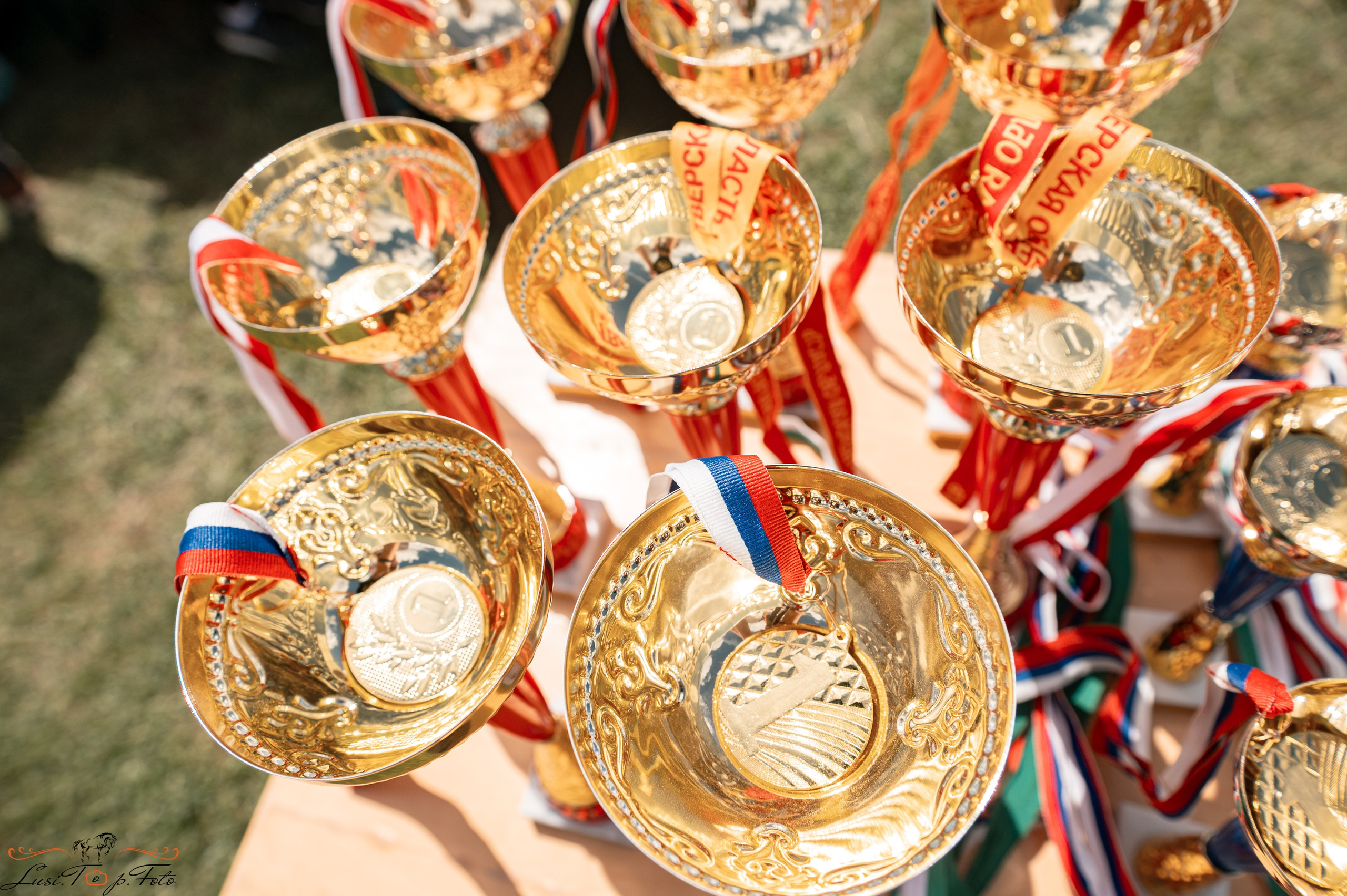 Областные соревнования по выездке. Тверь. Конный и фотограф с животными в Твери Топталова Люся