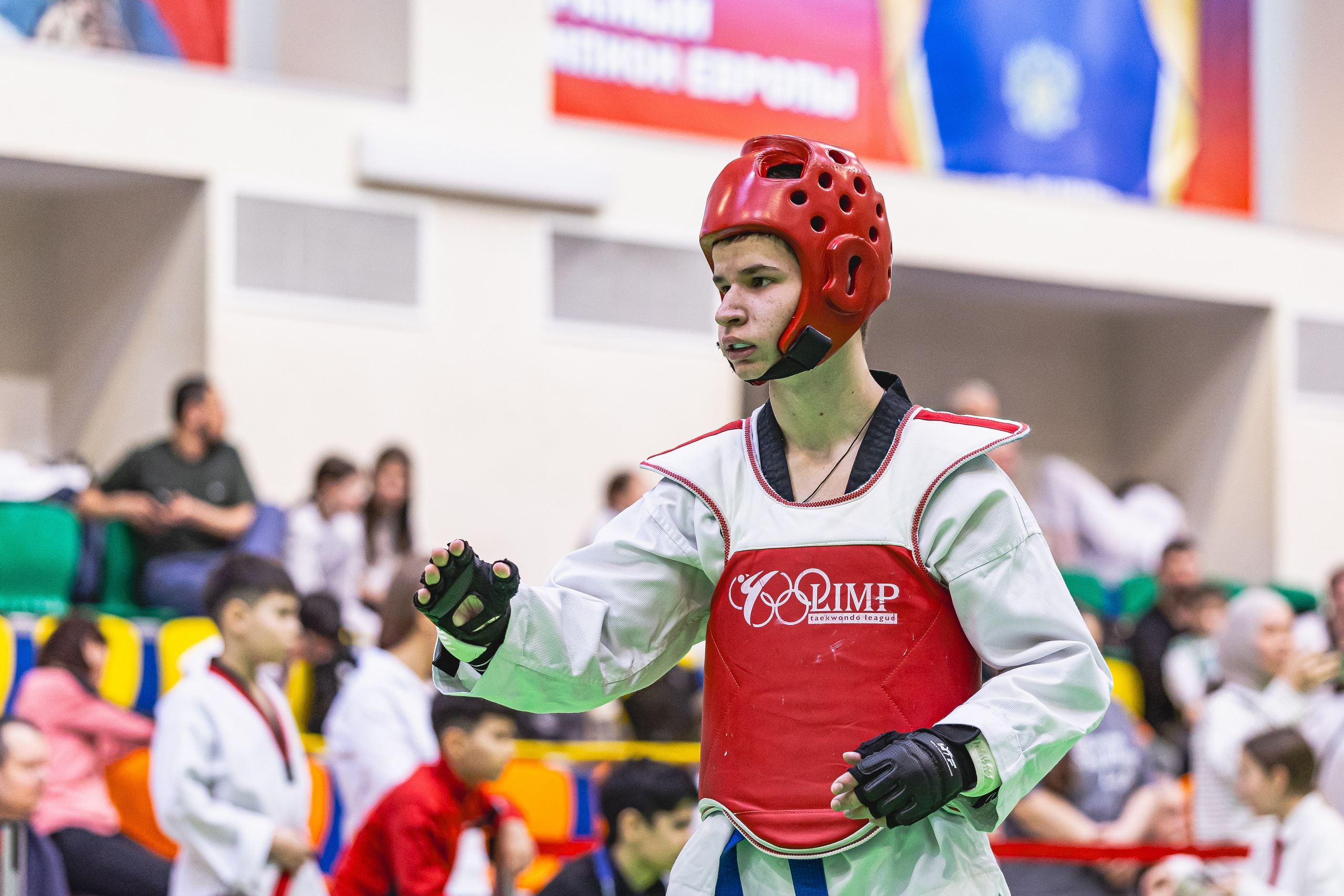 Турнир ВДЮФСОО «ФЕДЕРАЦИЯ ДЕТСКОГО ТХЭКВОНДО РОССИИ» и МОО СПКЕ «ЭРИДАН» по «СПОРТИВНОМУ БОЮ КЕРУГИ». Спортивный фотограф Максим Серегин