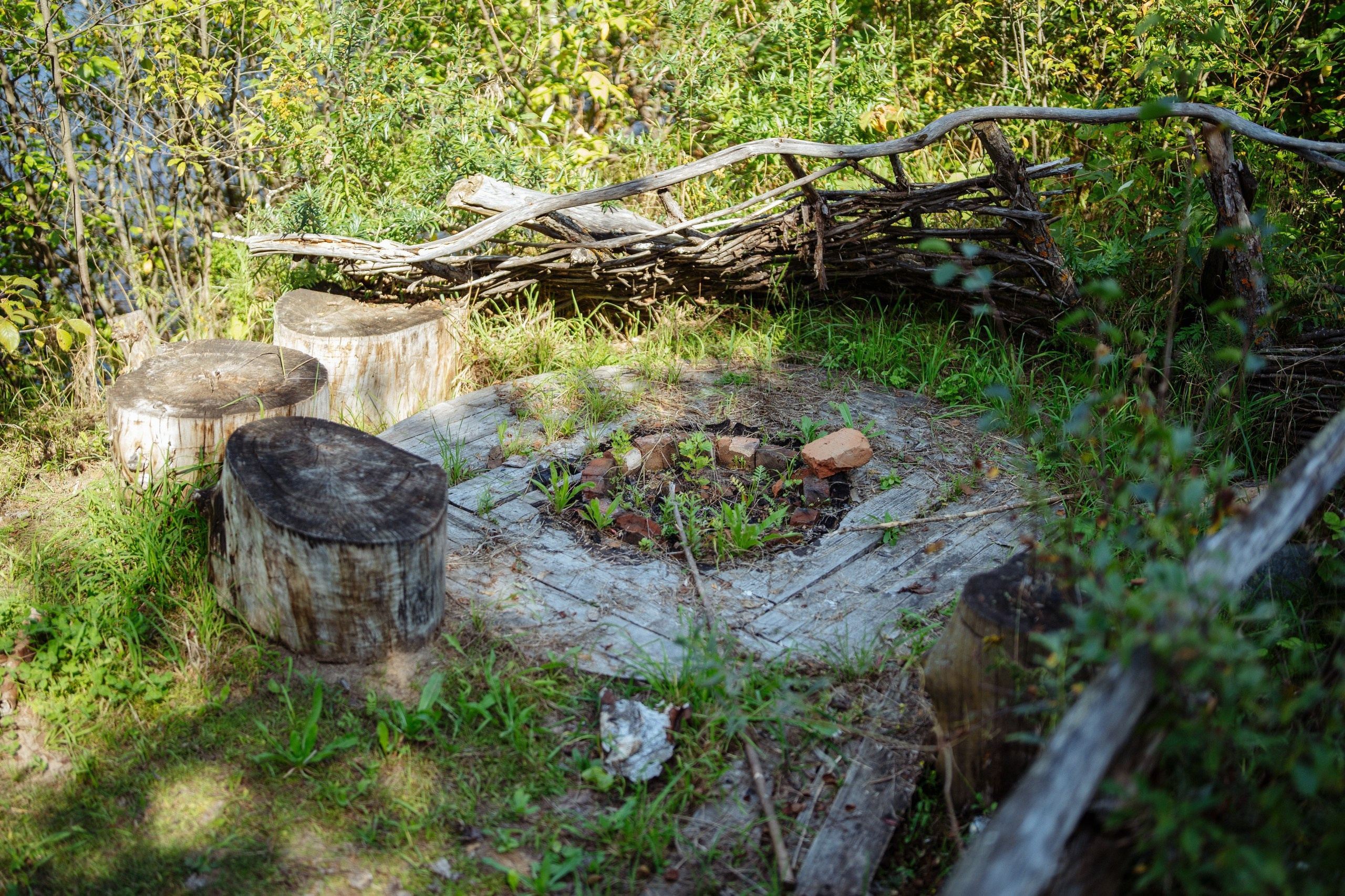 Сюжет № 9|Музей культуры дерева имени Е. И. Яранцева