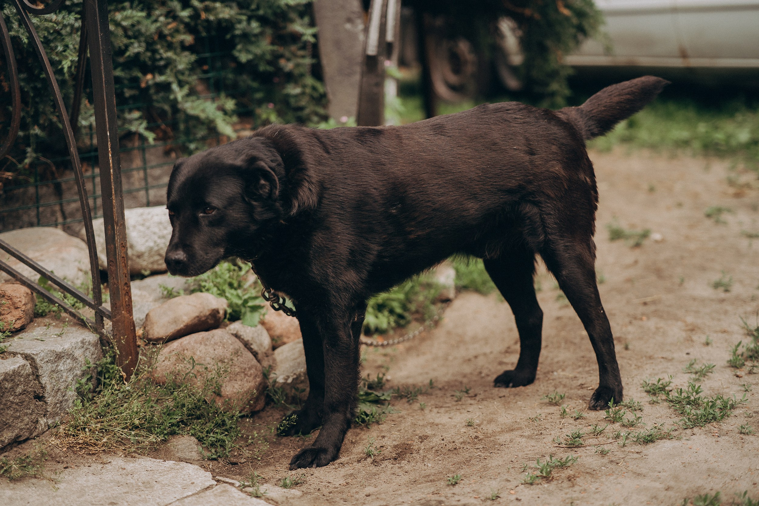 Поколения. Детский и семейный фотограф — Калининград — Юля Насифуллина