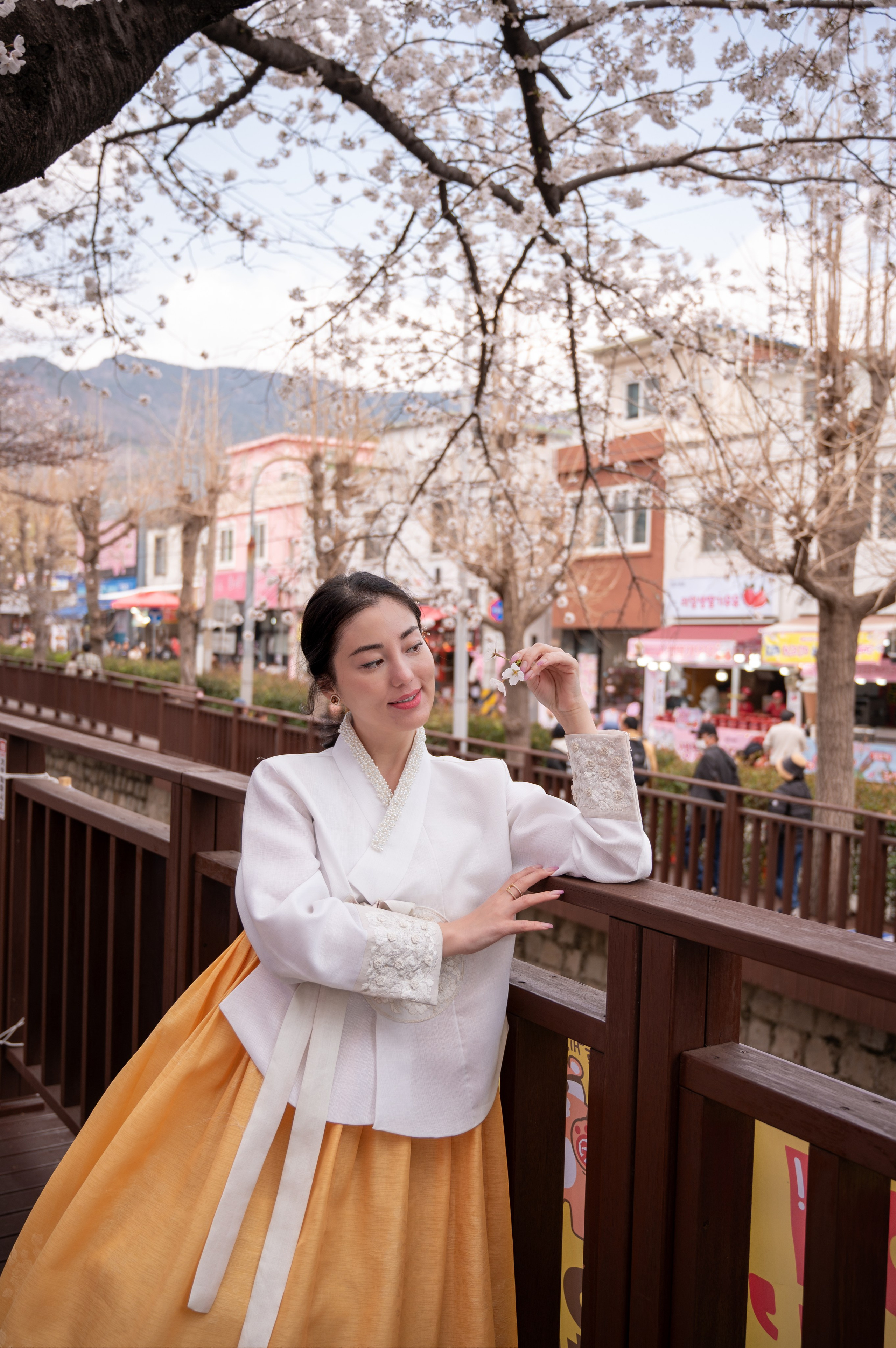 Hanbok portrait under cherry blossoms in Busan spring photography