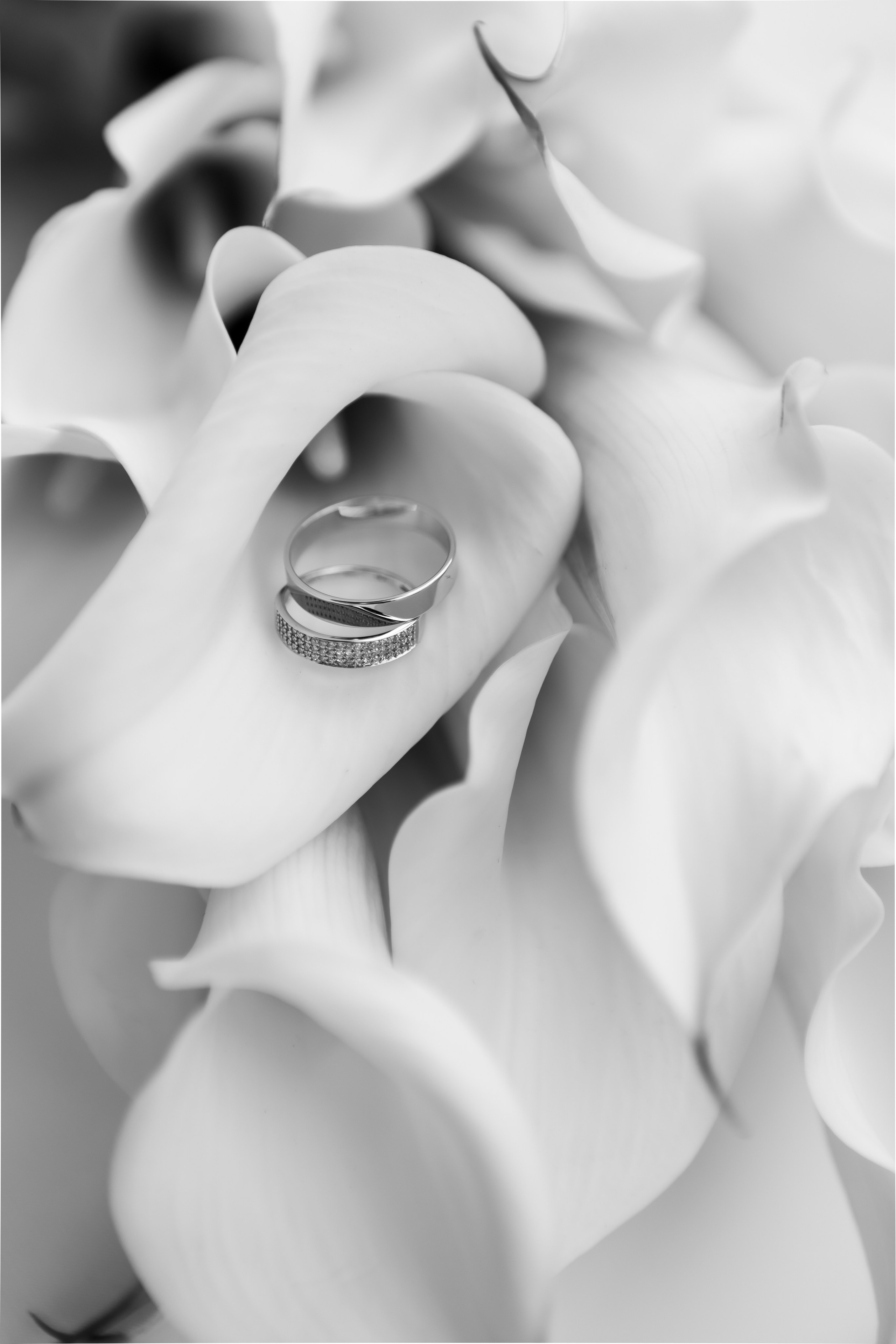 Фотограф Екатеринбург| Миасс Долгополова Дарья