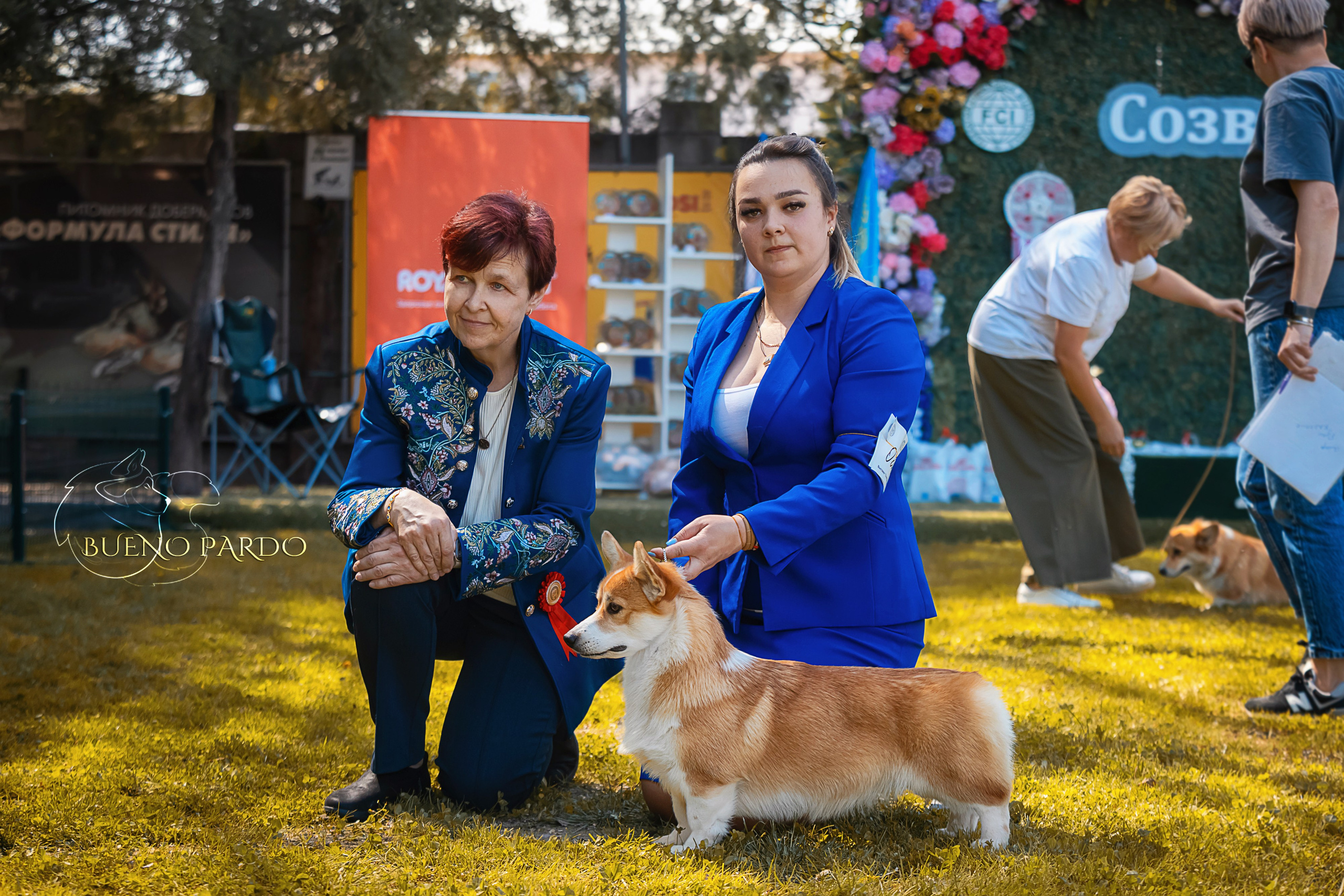 Собаки питомника Bueno Pardo. Питомник собак Акита, Хаски, Корги