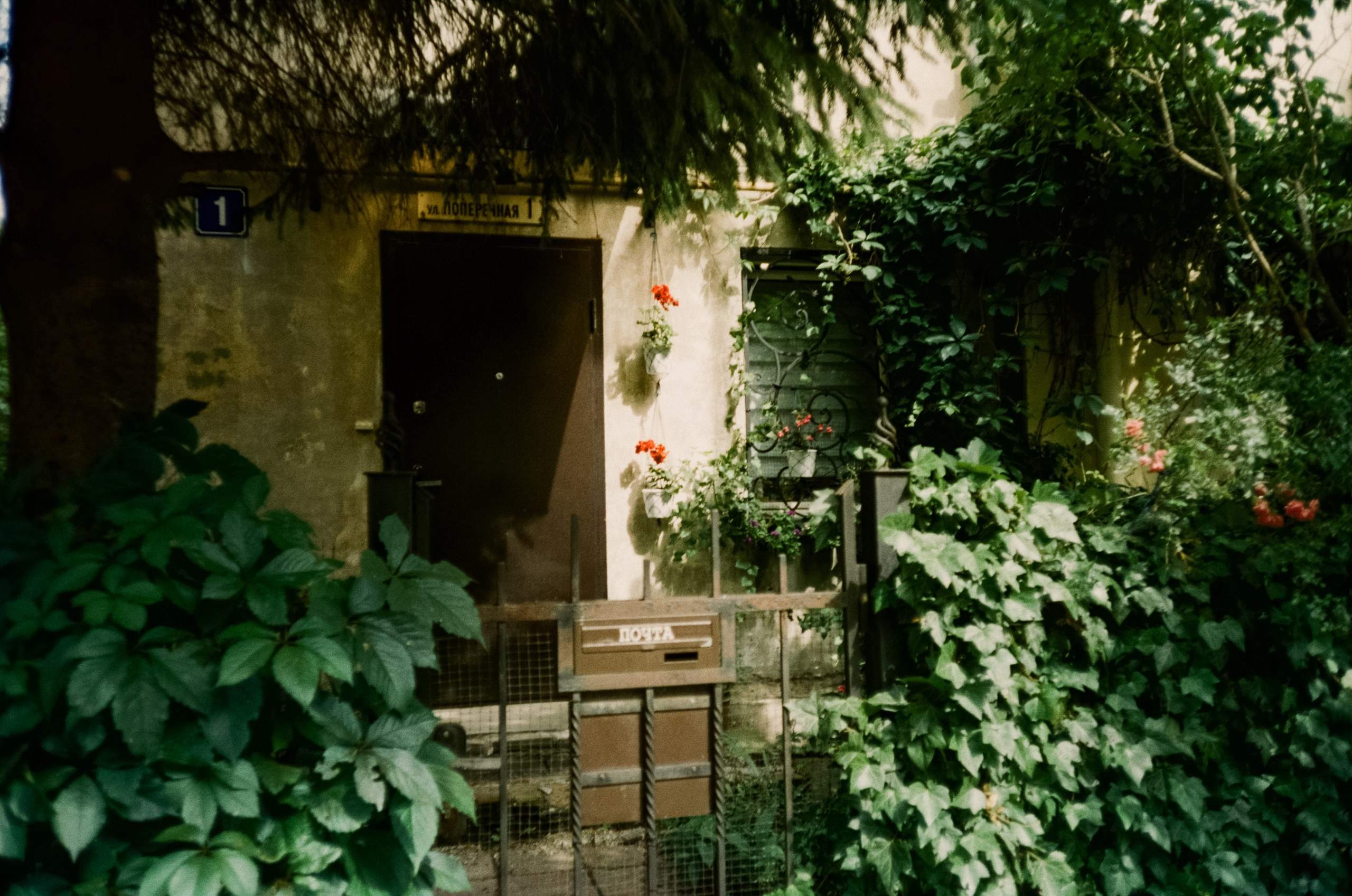 Прогулка по Калининграду в День Рождения. Фотограф-документалист Мария Осокина