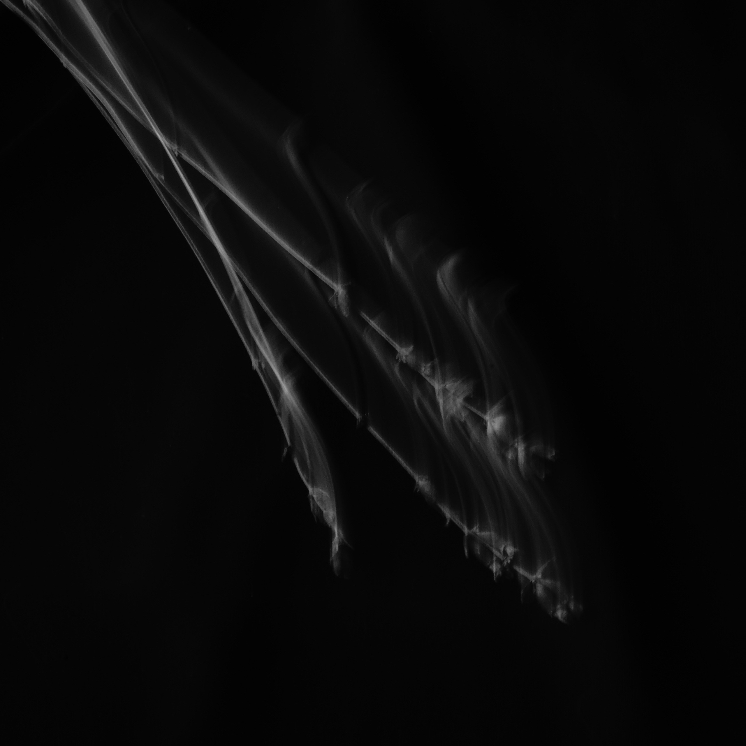 EKATERINA BOGDANOVA ─ PHOTOGRAPHER