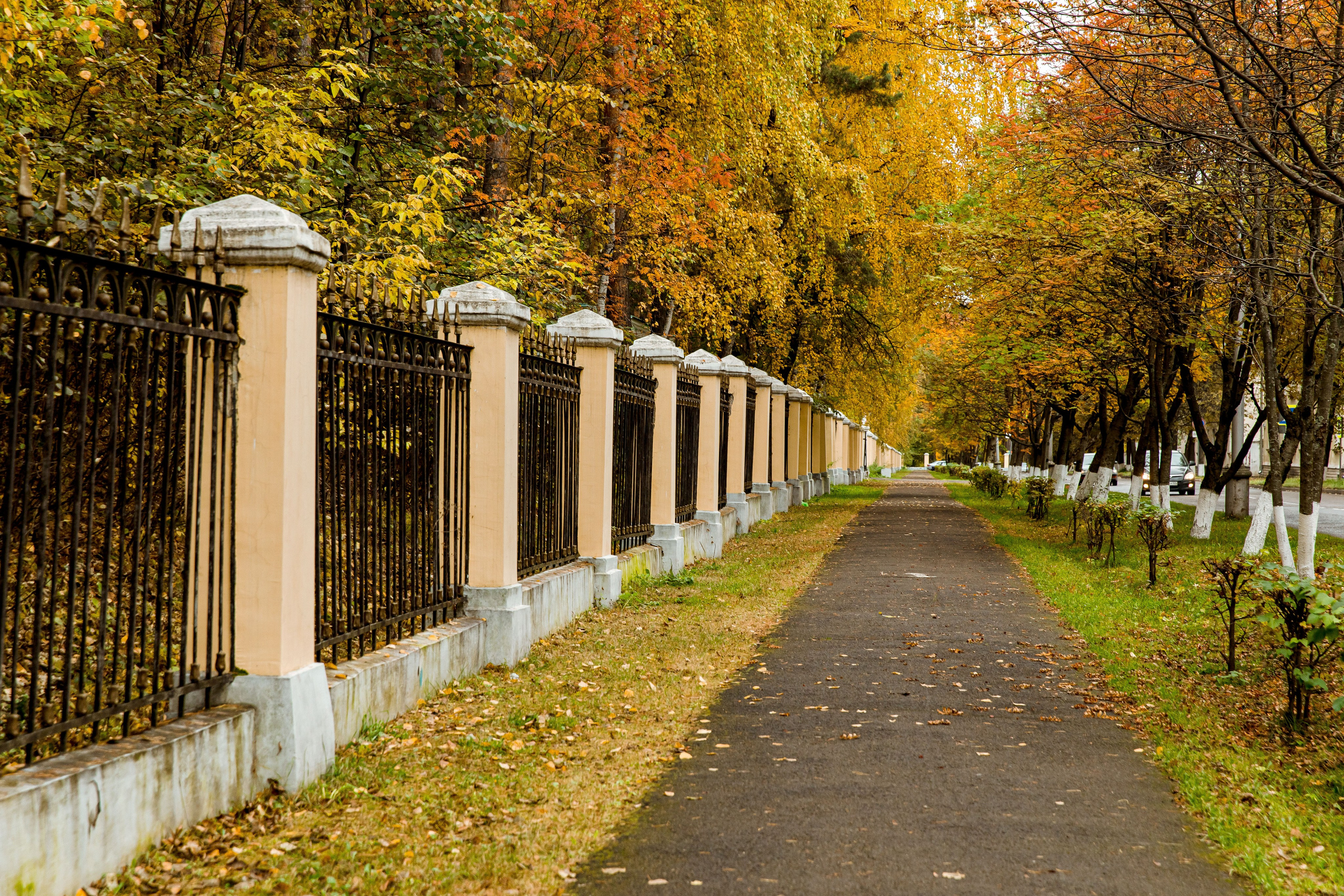 Осень в парке. Семейный и детский фотограф в Железногорске Саламахо Ольга