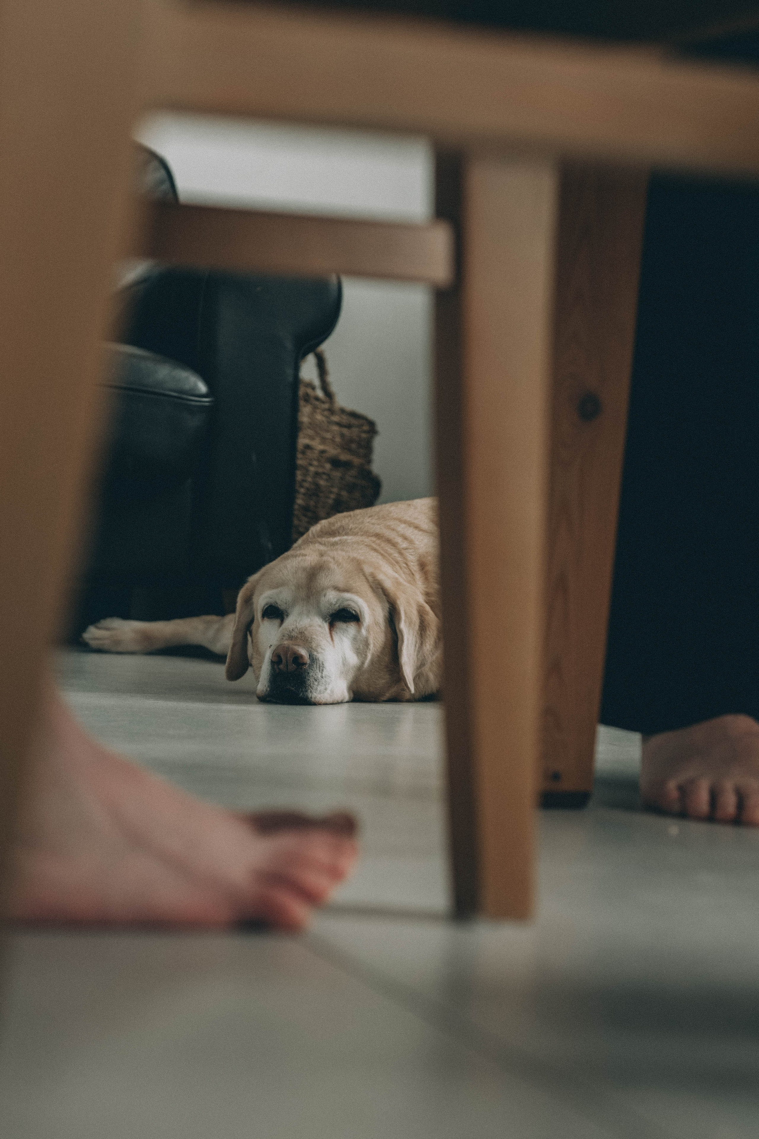 Музыка в доме. Семейный фотограф из Петрозаводска, Карелия