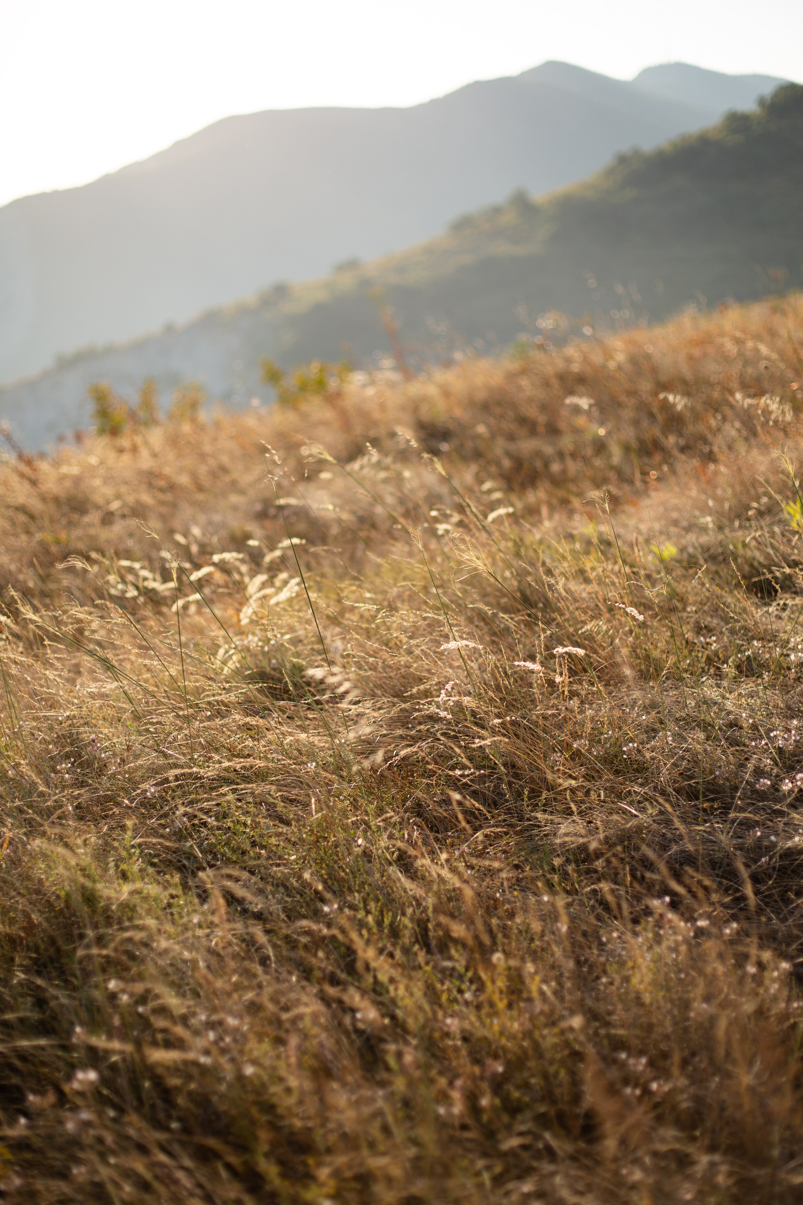 Дороги земли ветров. Портретный фотограф в Москве и Геленджике Кирилл Вахитов