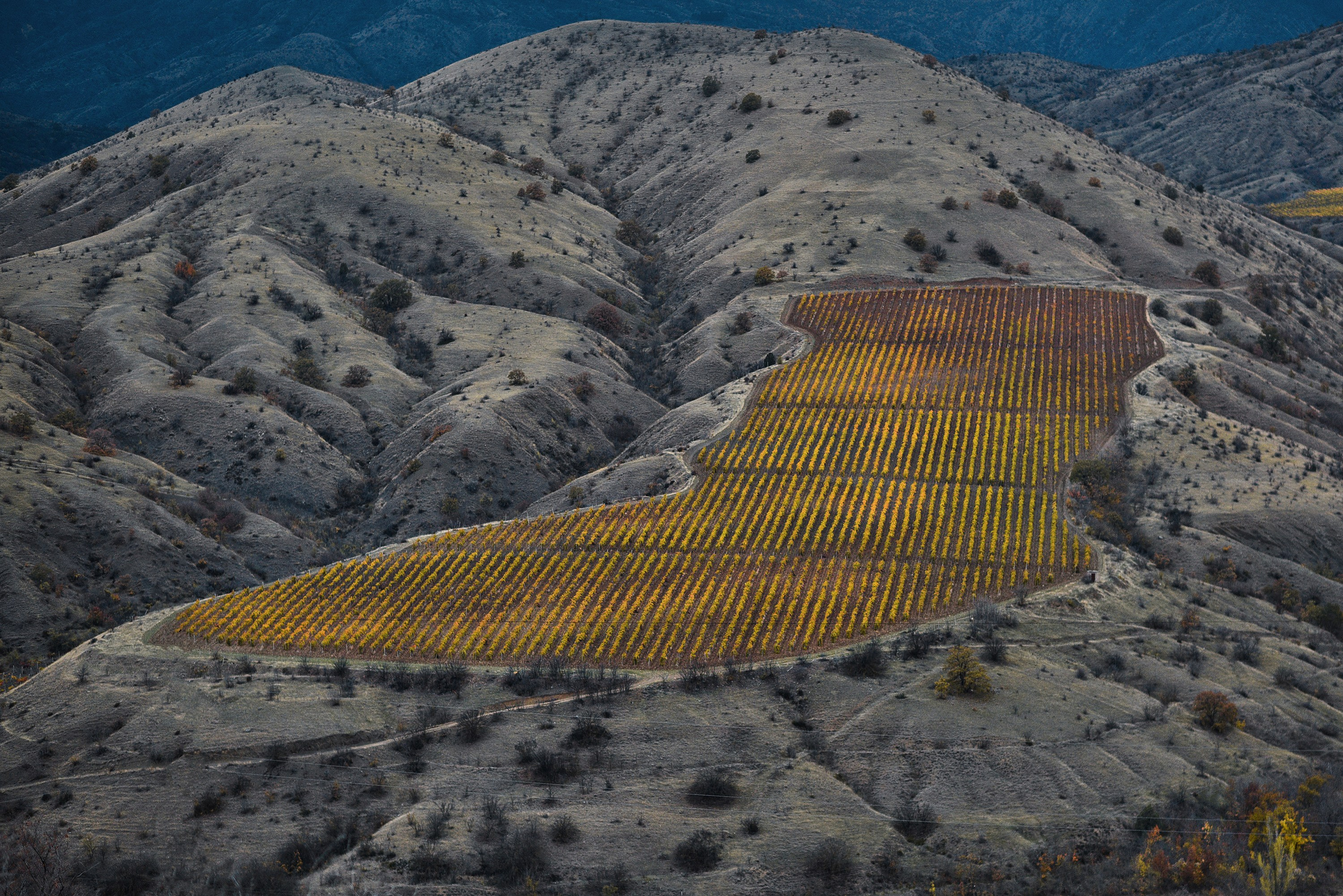 Пейзажи. Яркие фото на Чёрном море