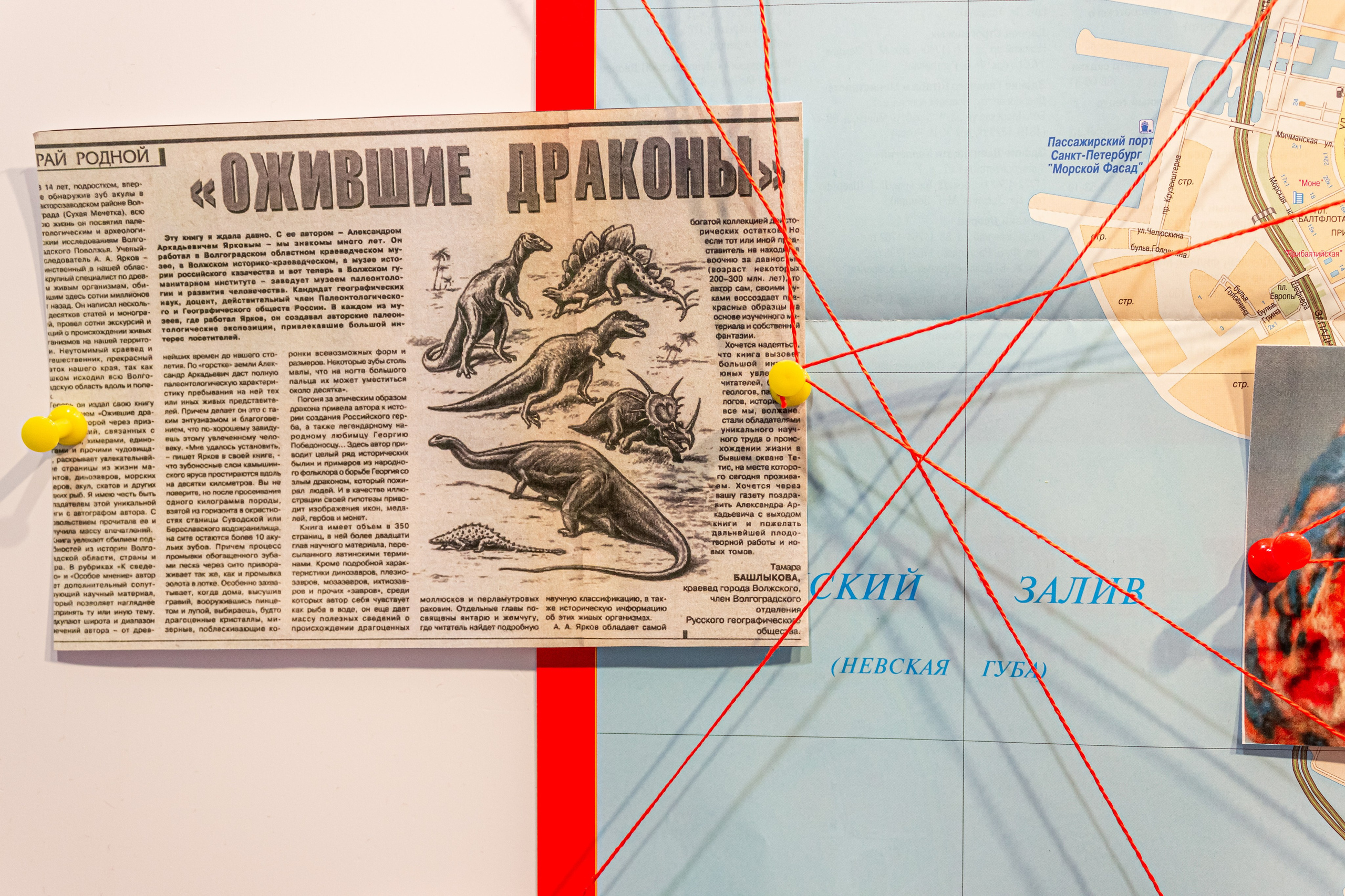 Динотопия. Козлова Екатерина. Междисциплинарная визуальная художница