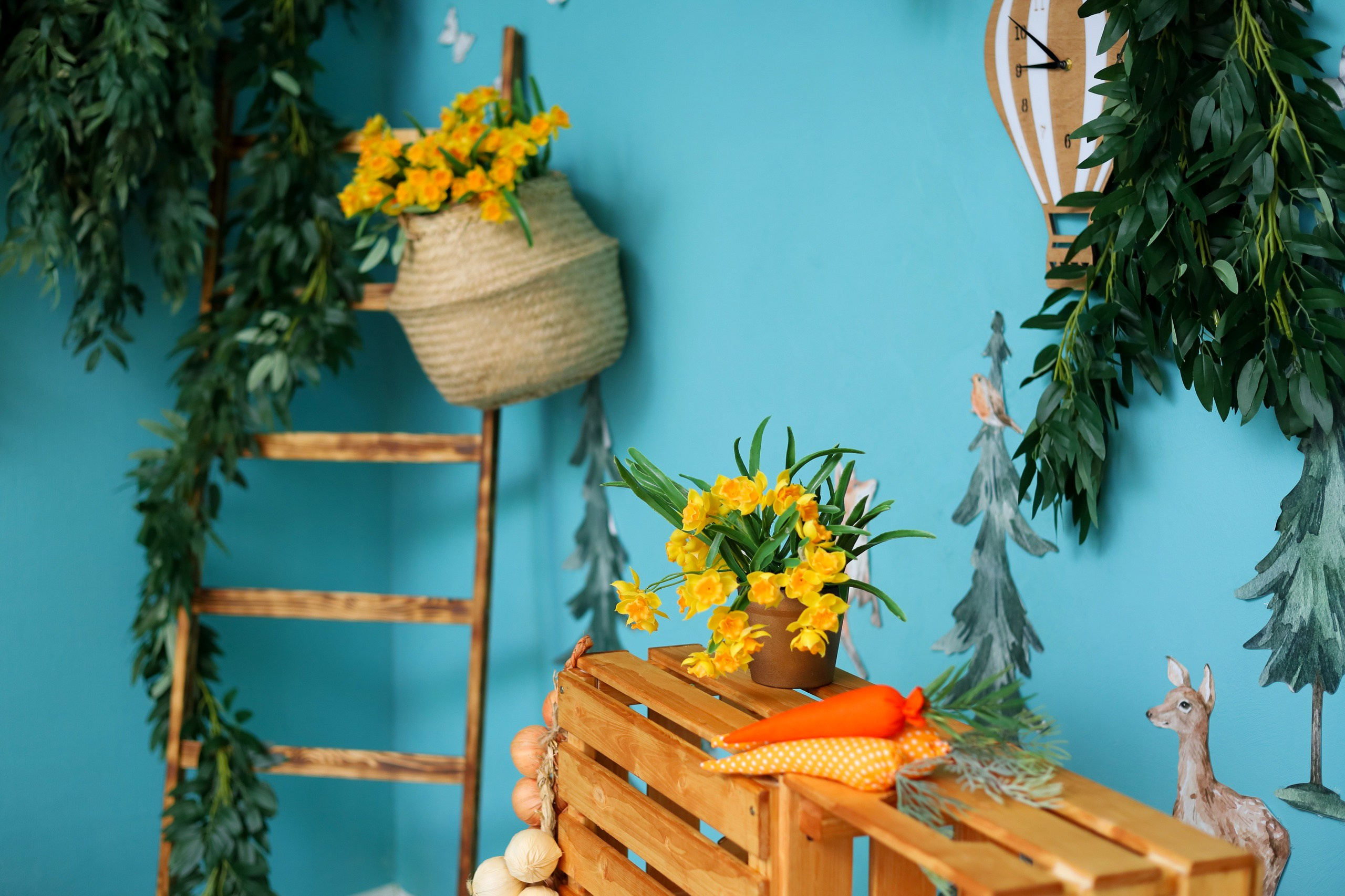 Интерьерная фотостудия в Видном МО