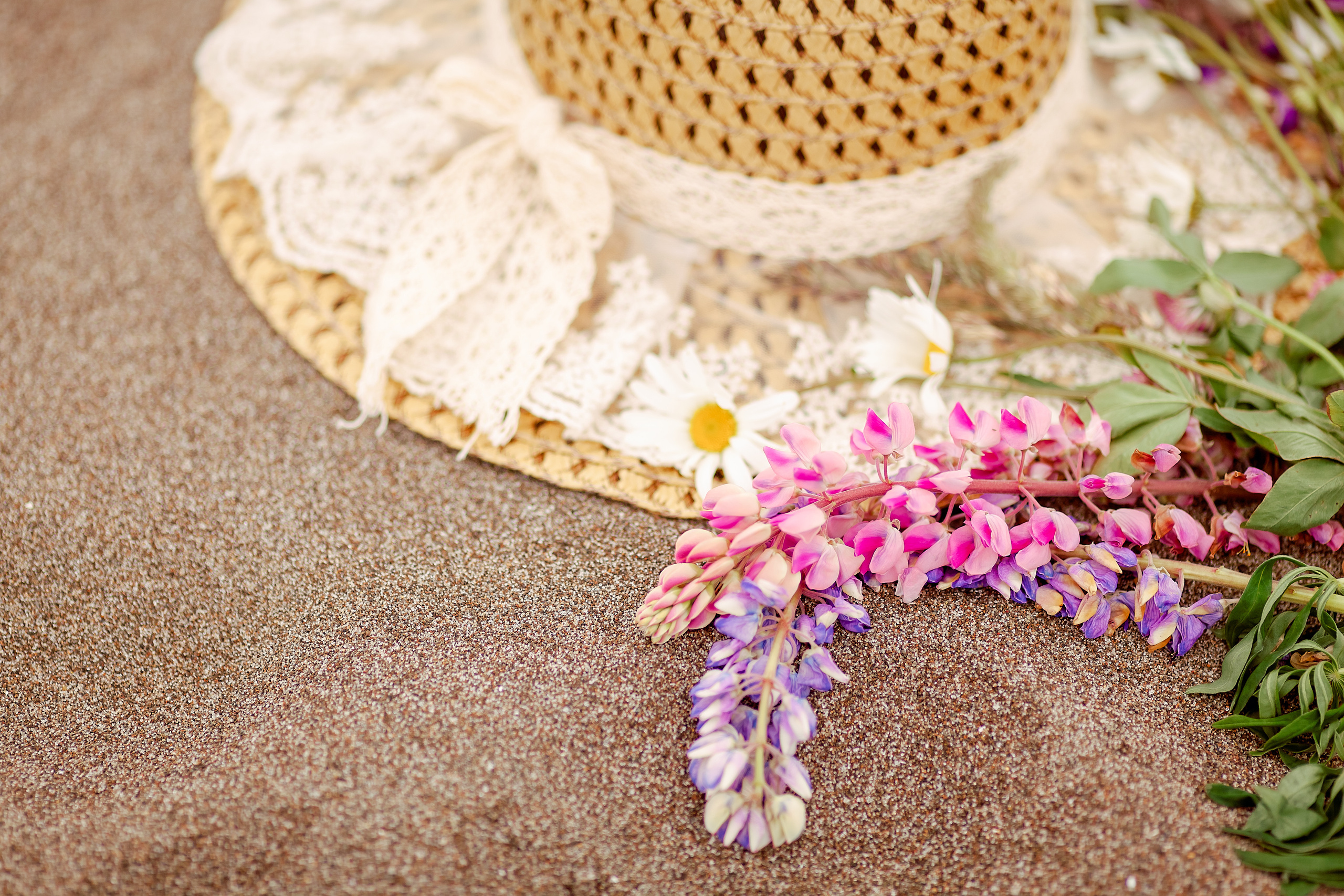 Гости из Питера. Детский, семейный фотограф в Южно-Сахалинске, Невельске и Холмске