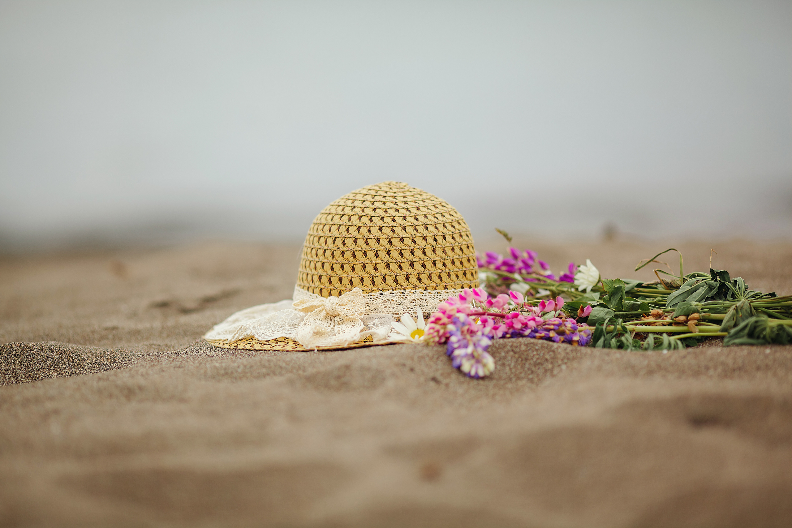 Гости из Питера. Детский, семейный фотограф в Южно-Сахалинске, Невельске и Холмске