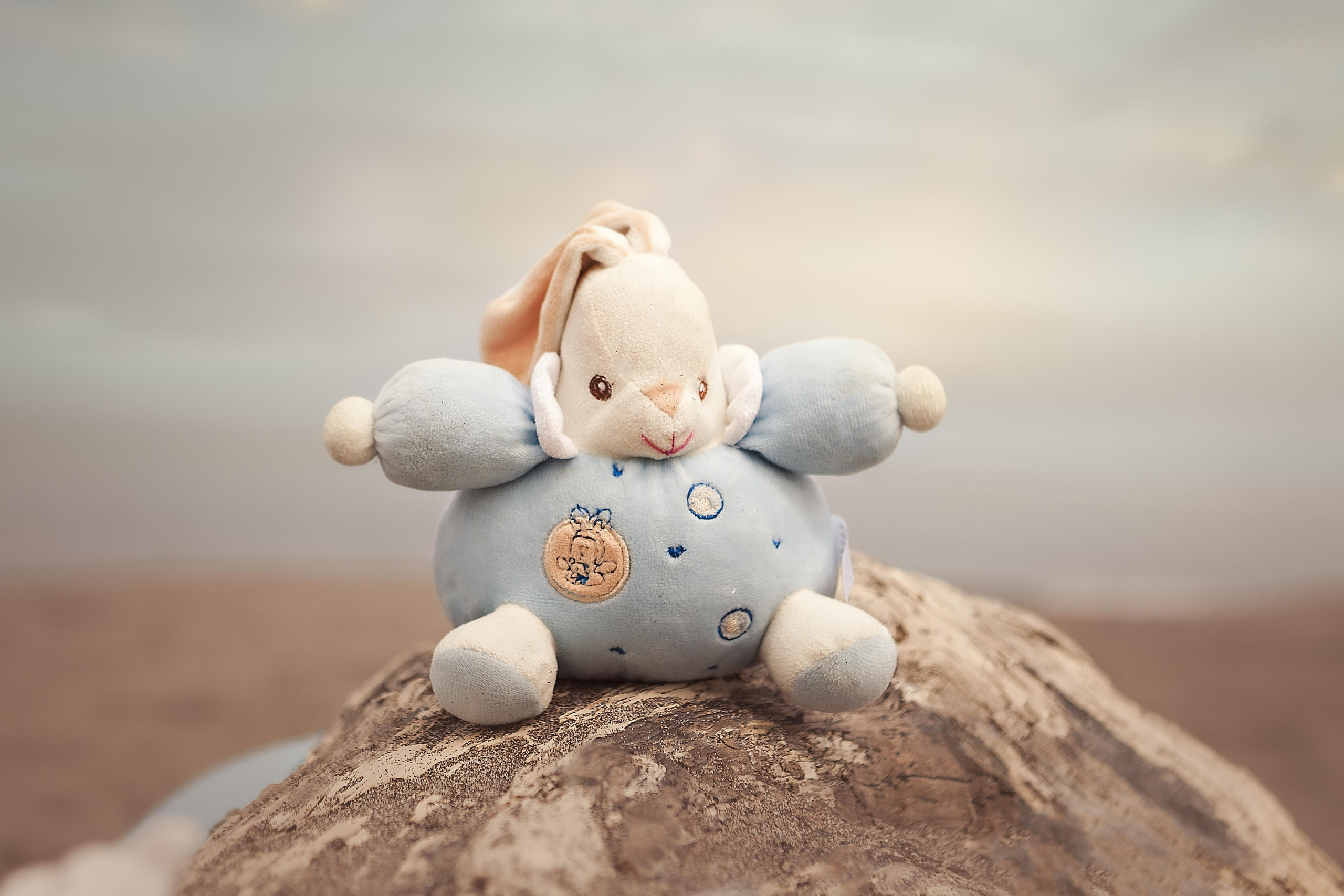 Гости из Питера. Детский, семейный фотограф в Южно-Сахалинске, Невельске и Холмске