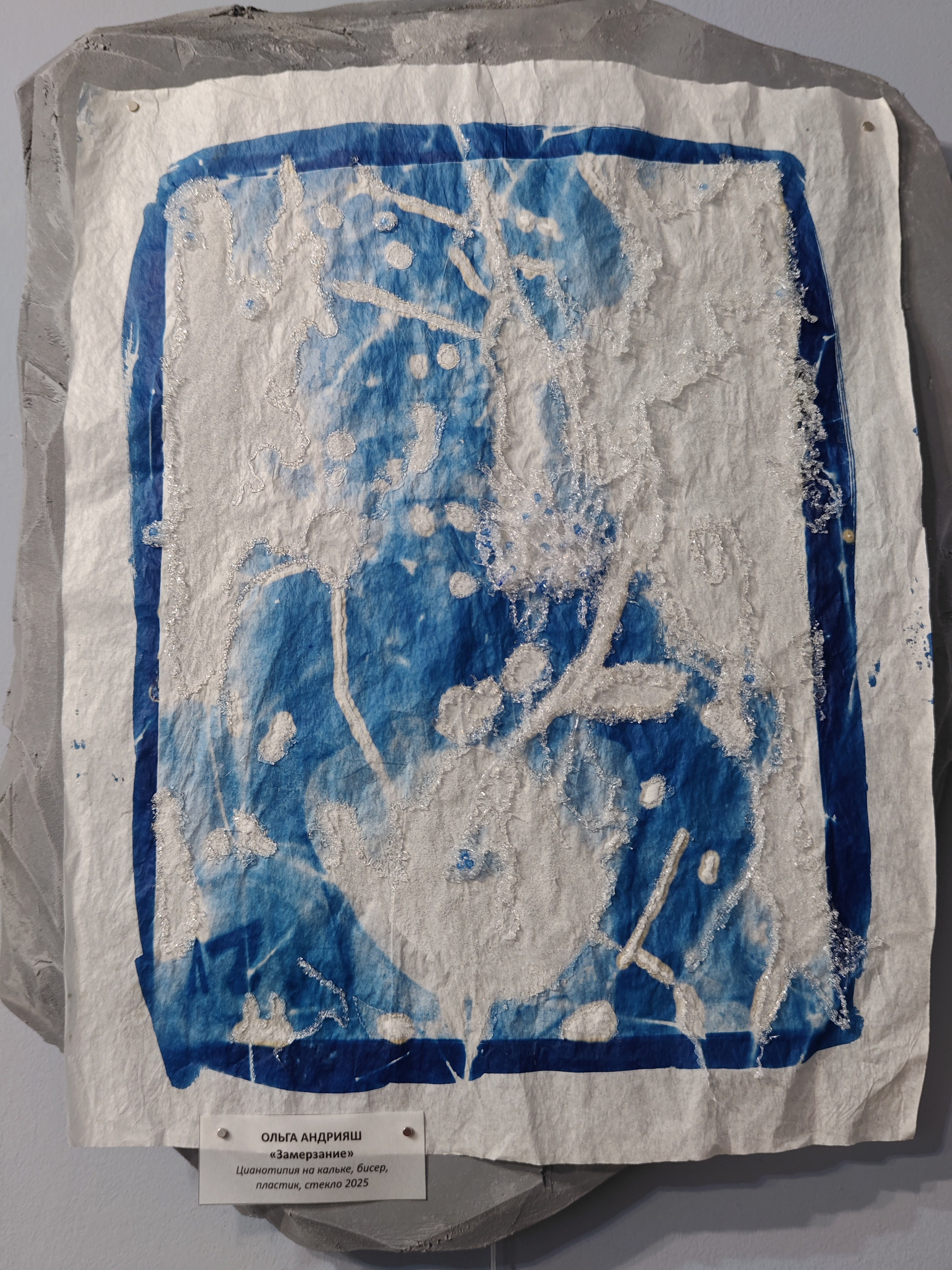 CYANOTYPE. CONTEMPORARY ARTIST OLGA ANDRIYASH