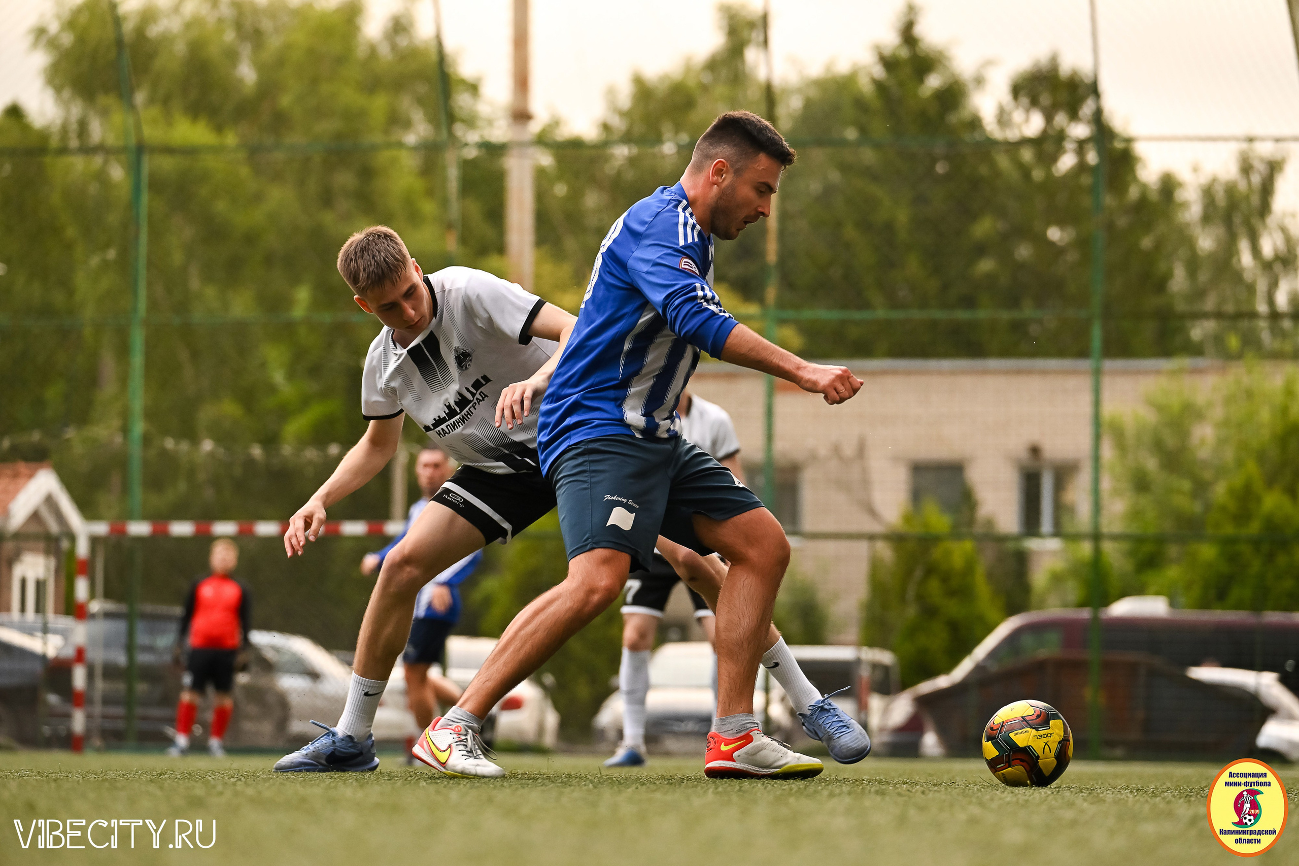 ИГРЫ МИНИ-ФУТБОЛЬНОЙ И КОРПОРАТИВНОЙ ЛИГИ. VIBECITY.RU Вайб Сити Ру Фоторепортажи Фотоотчеты Калининград