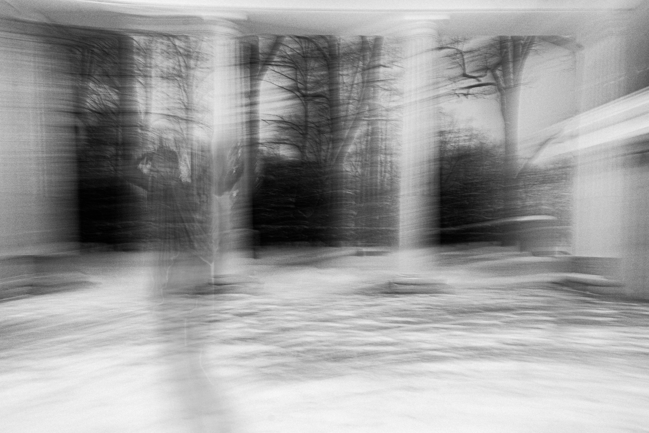Dreams of Pavlovsk Park. Alla Remizova, photographer