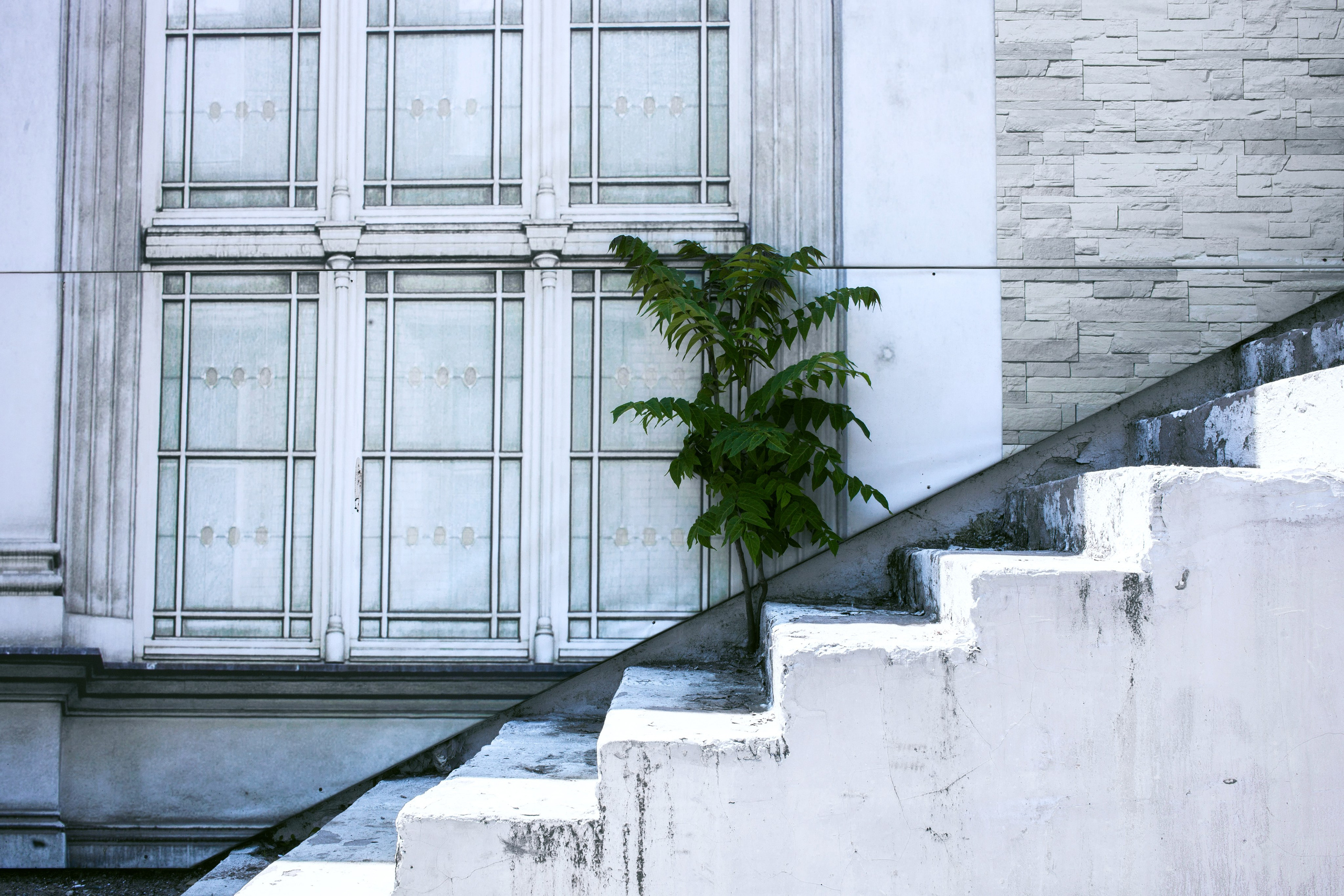 Улицы Люди на улицах Природа Животные — фотограф Оля Волчкова