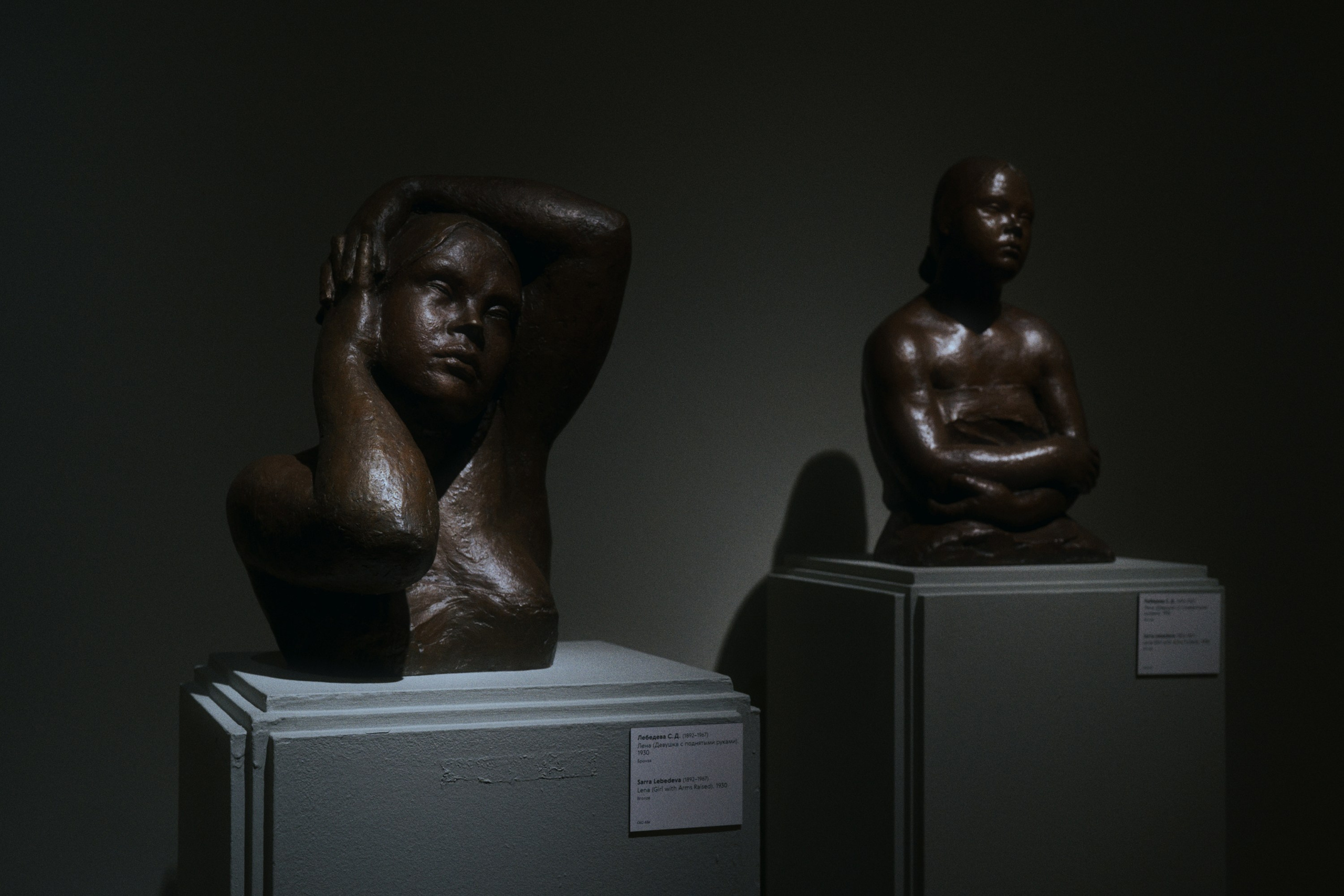 Новая Третьяковка / Русское искусство ХХ века. Фотограф Юрин Евгений