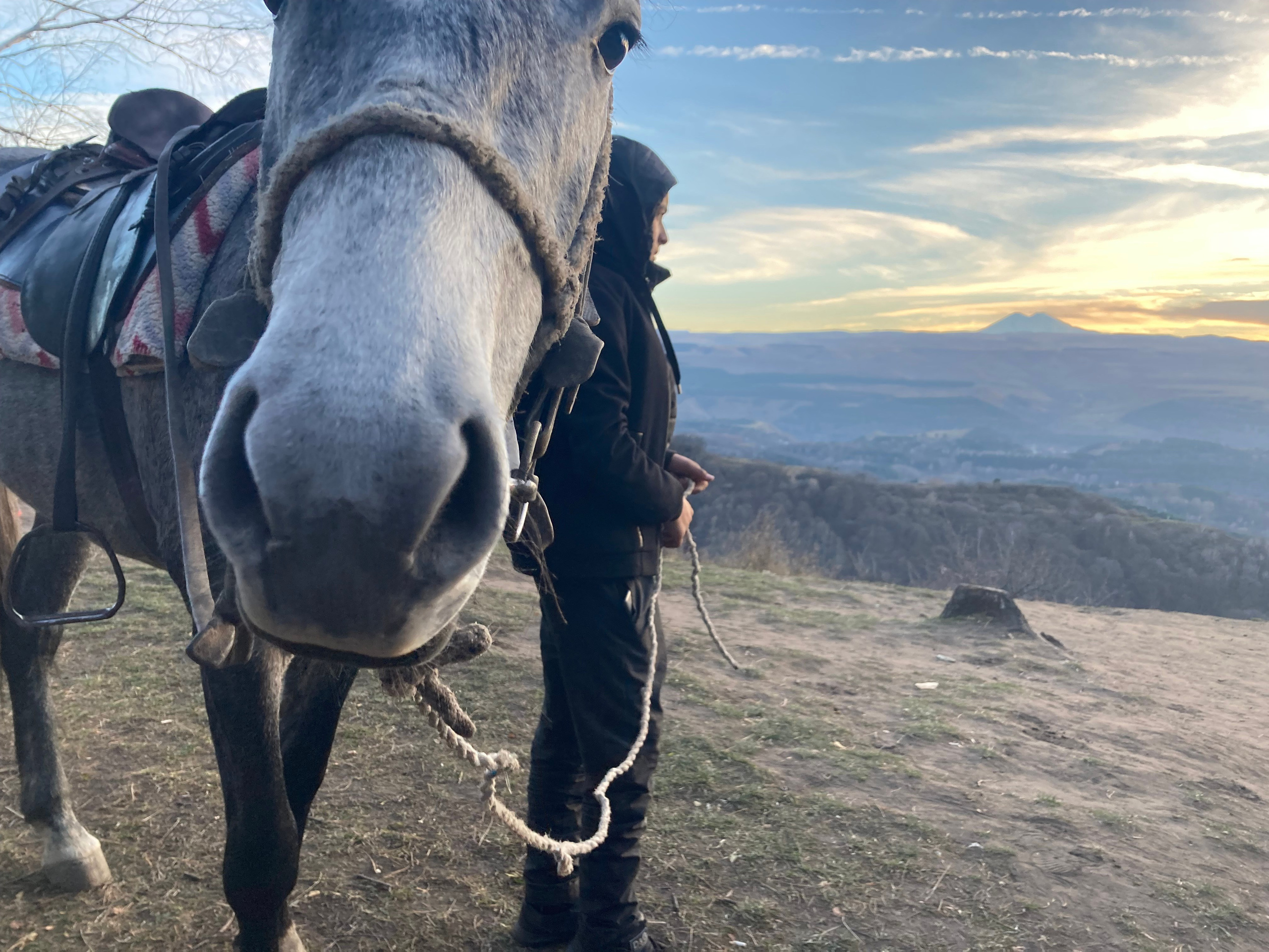 Кисловодск. Смотри, красота!