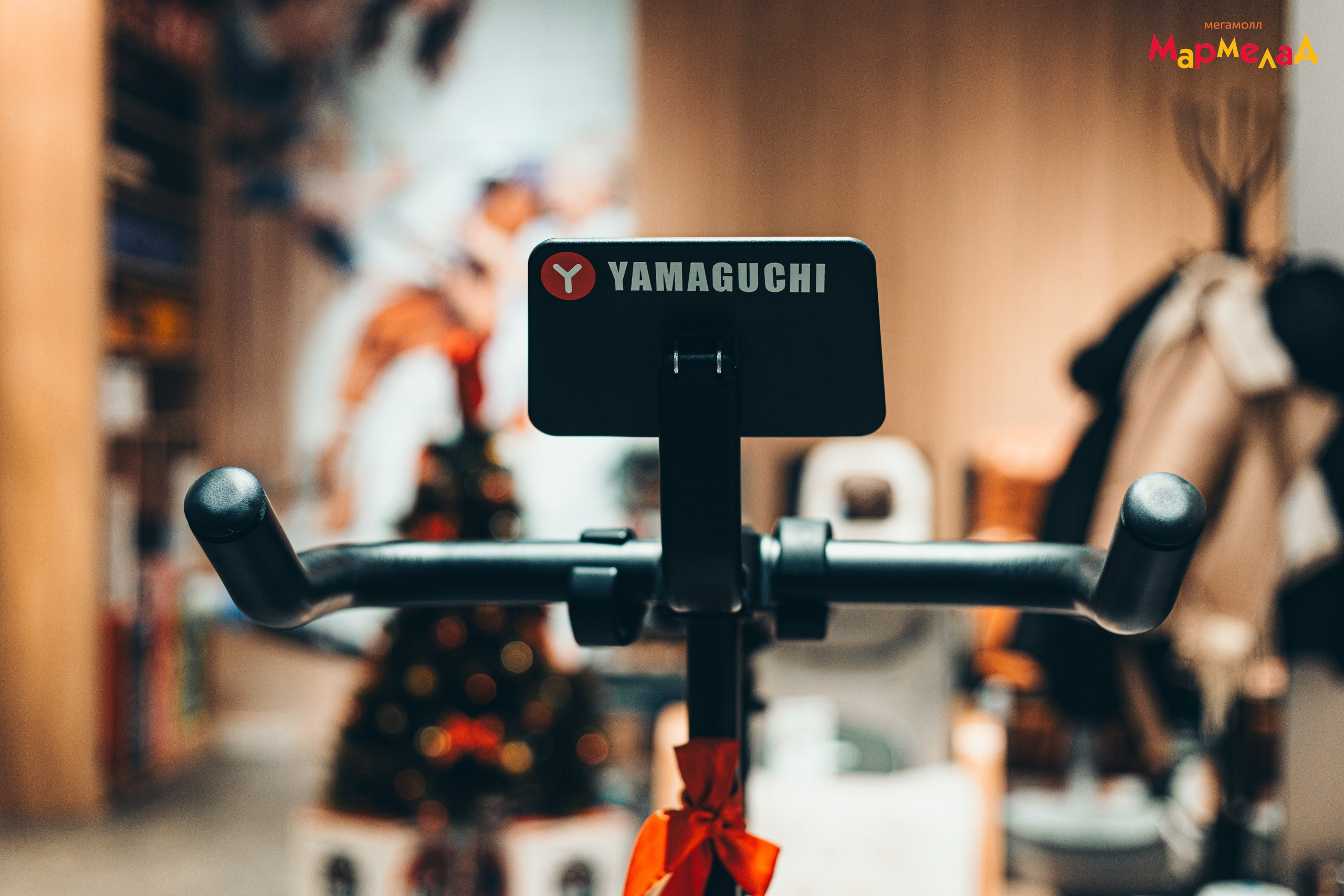 28.12 Yamaguchi в МАРМЕЛАД. Команда специалистов в мире фотографии и видео. Детский фотограф, семейный фотограф