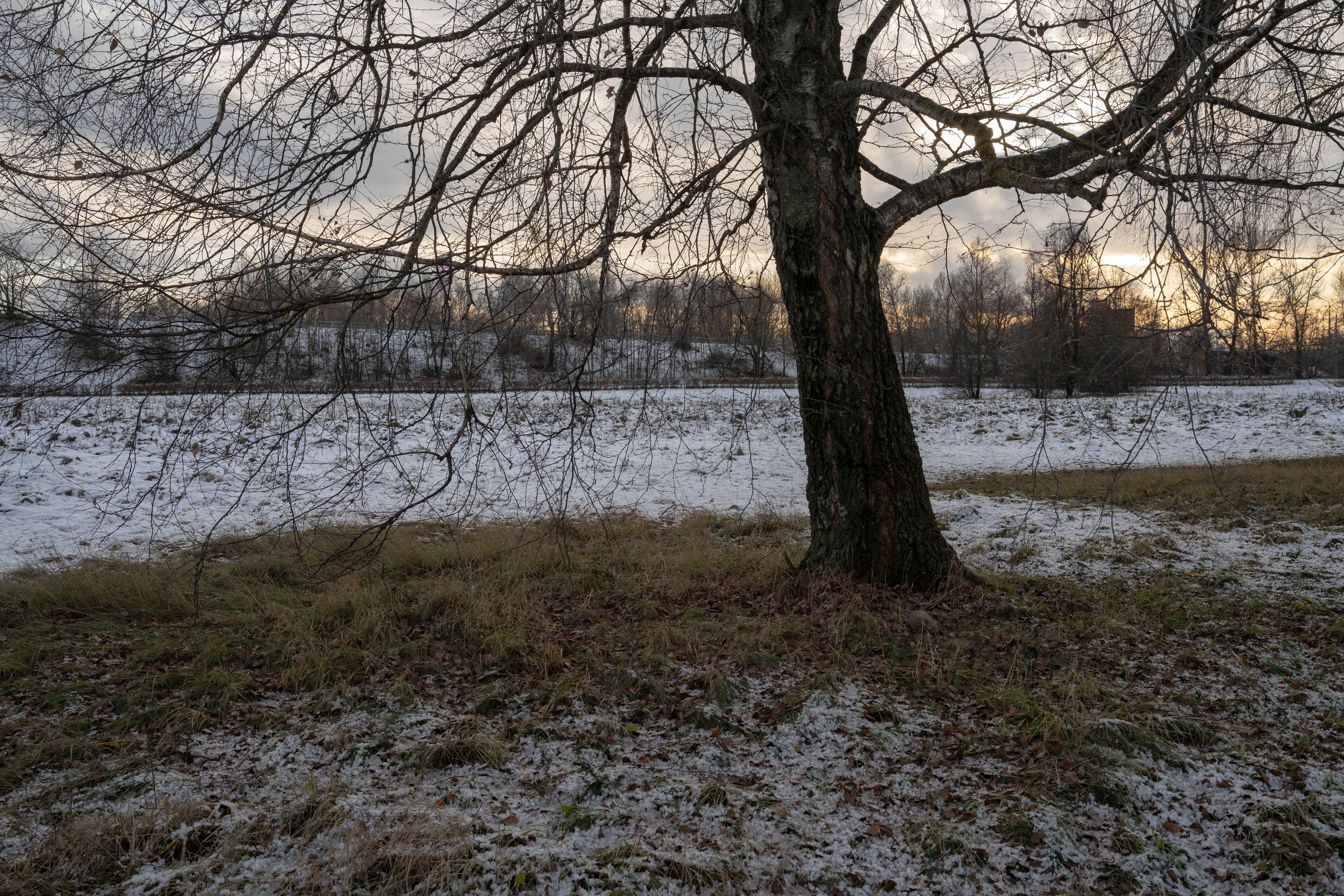 It was quietly sunny in shchukino. Shyjungle's Portfolio