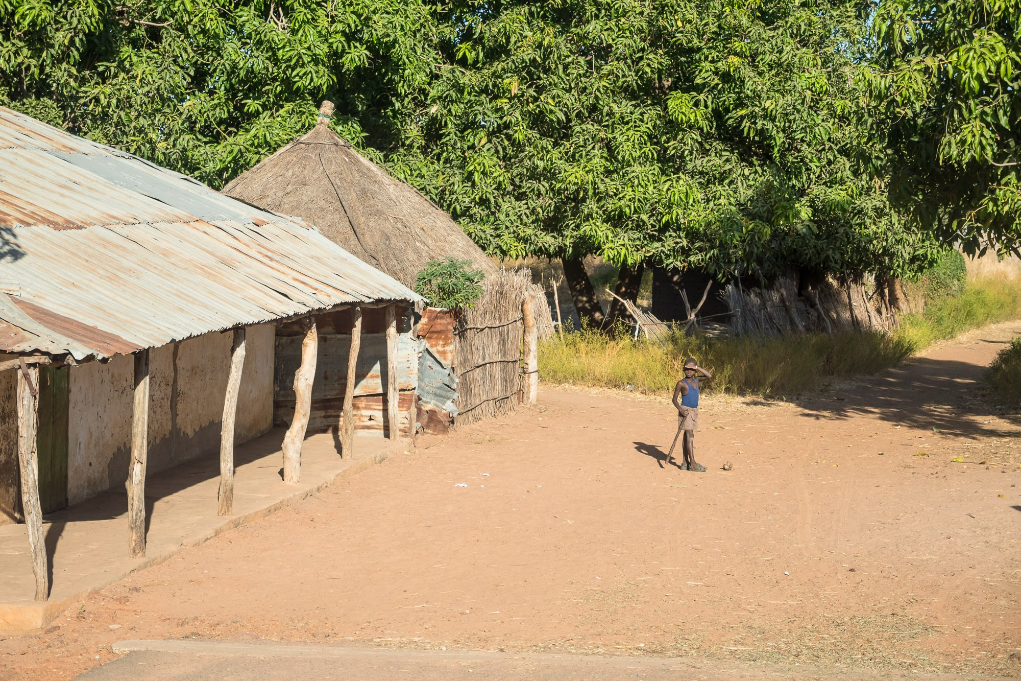 Путешествие по Гамбии (Западная Африка).Traveling in Gambia (West Africa.). Фотограф Алексей Скоробогатько