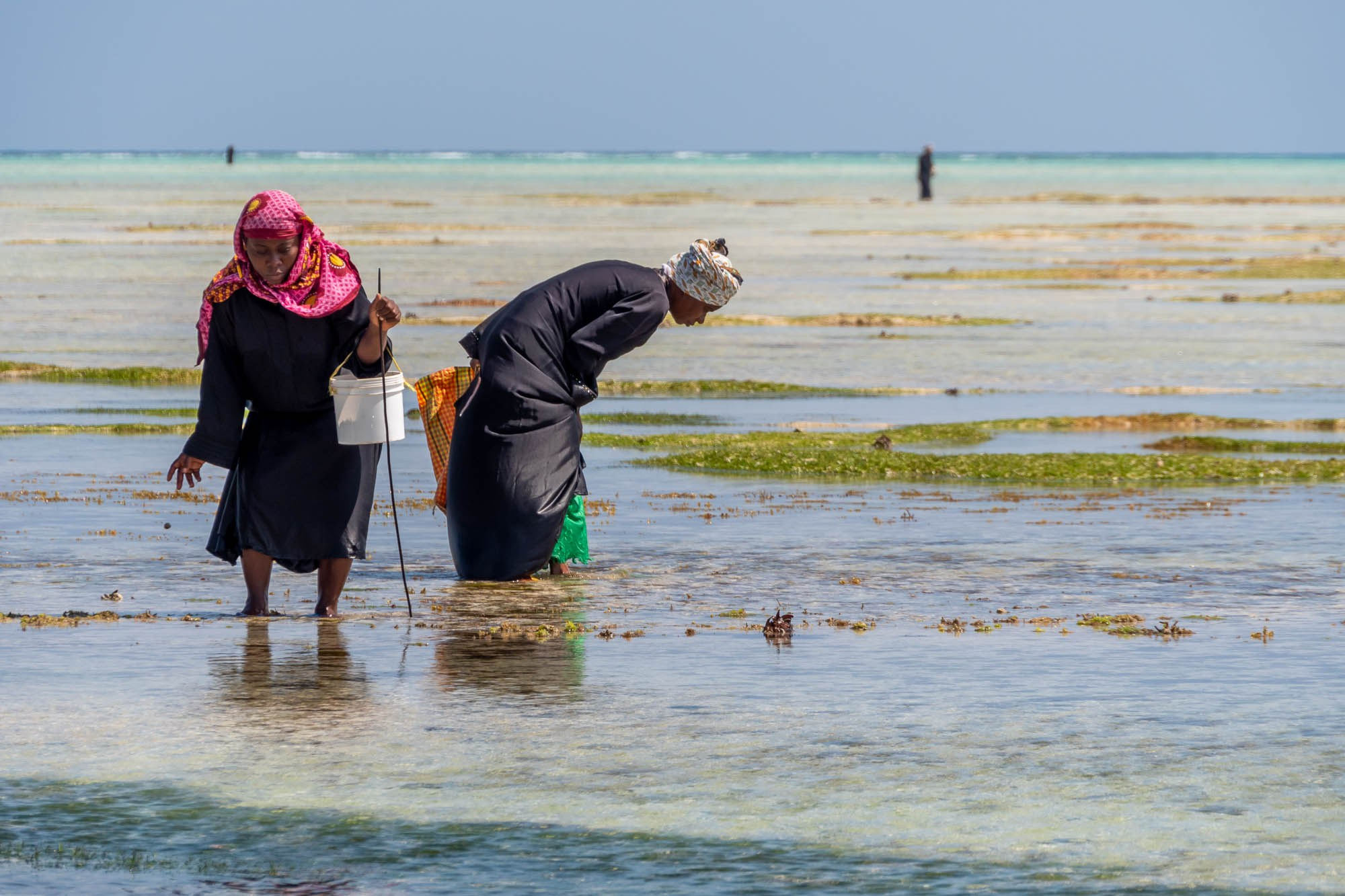 Африка, Танзания, Занзибар, Нунгви. Africa, Tanzania, Zanzibar, Nungwi. Фотограф Алексей Скоробогатько