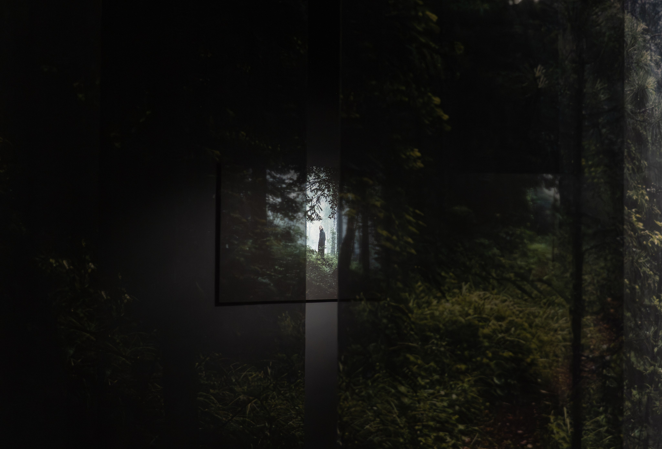 Пристанище. Элина Гусарова