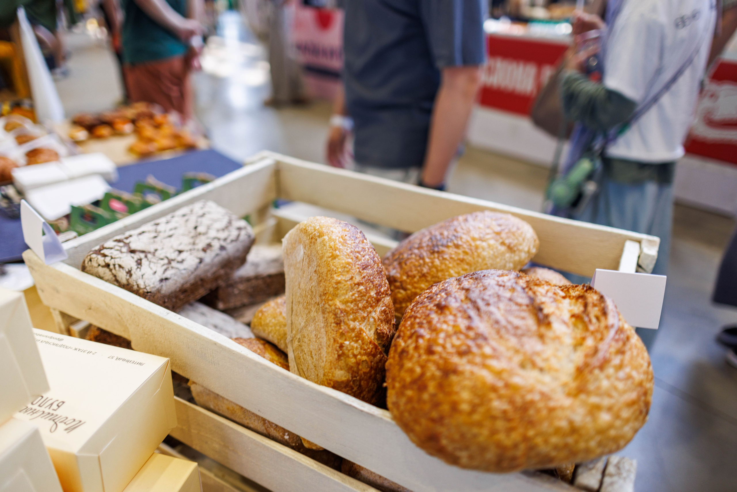 Флоу фест 2025. Фотограф Балаев Михаил