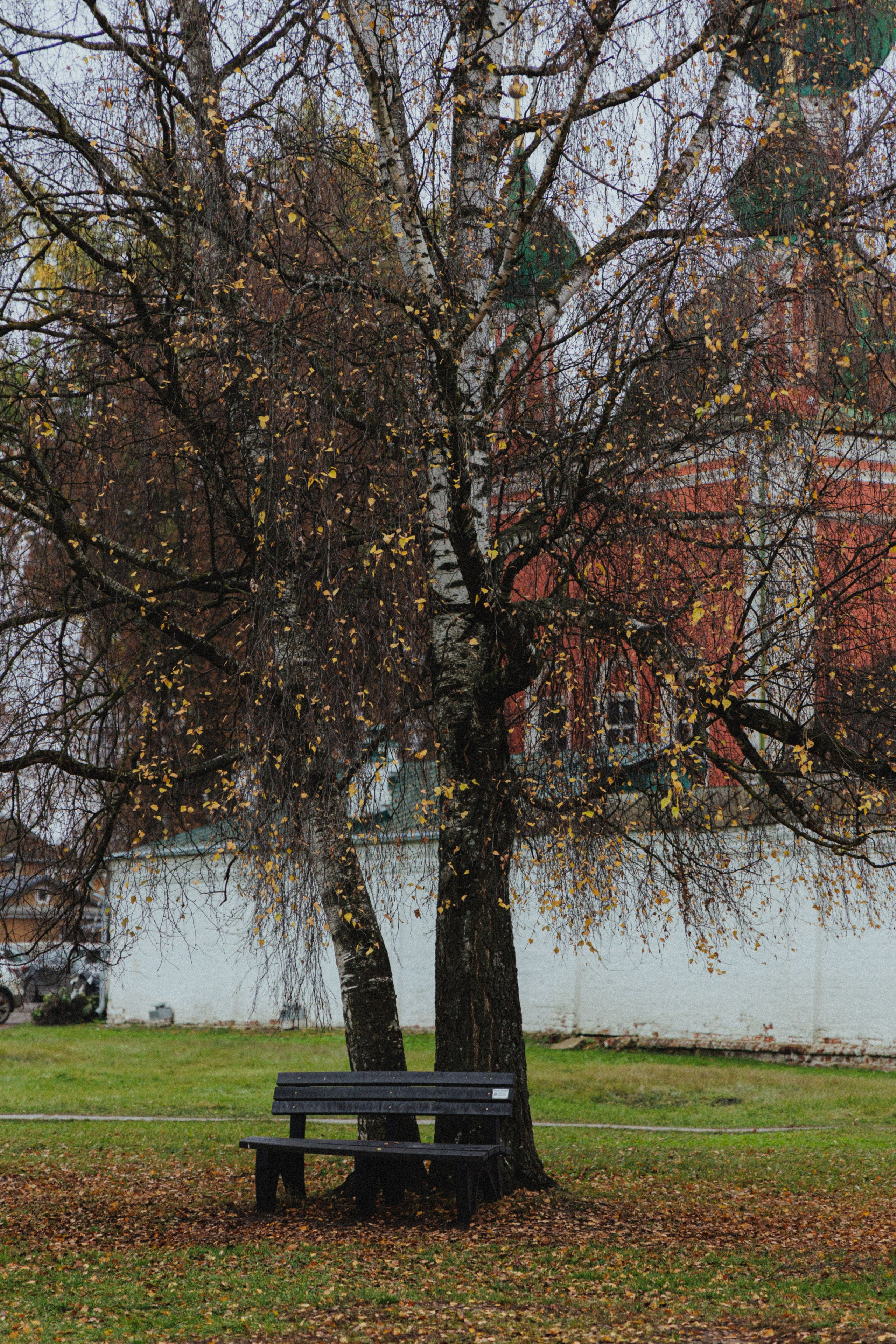 О том, как мы исследовали земли Залесские. Главная