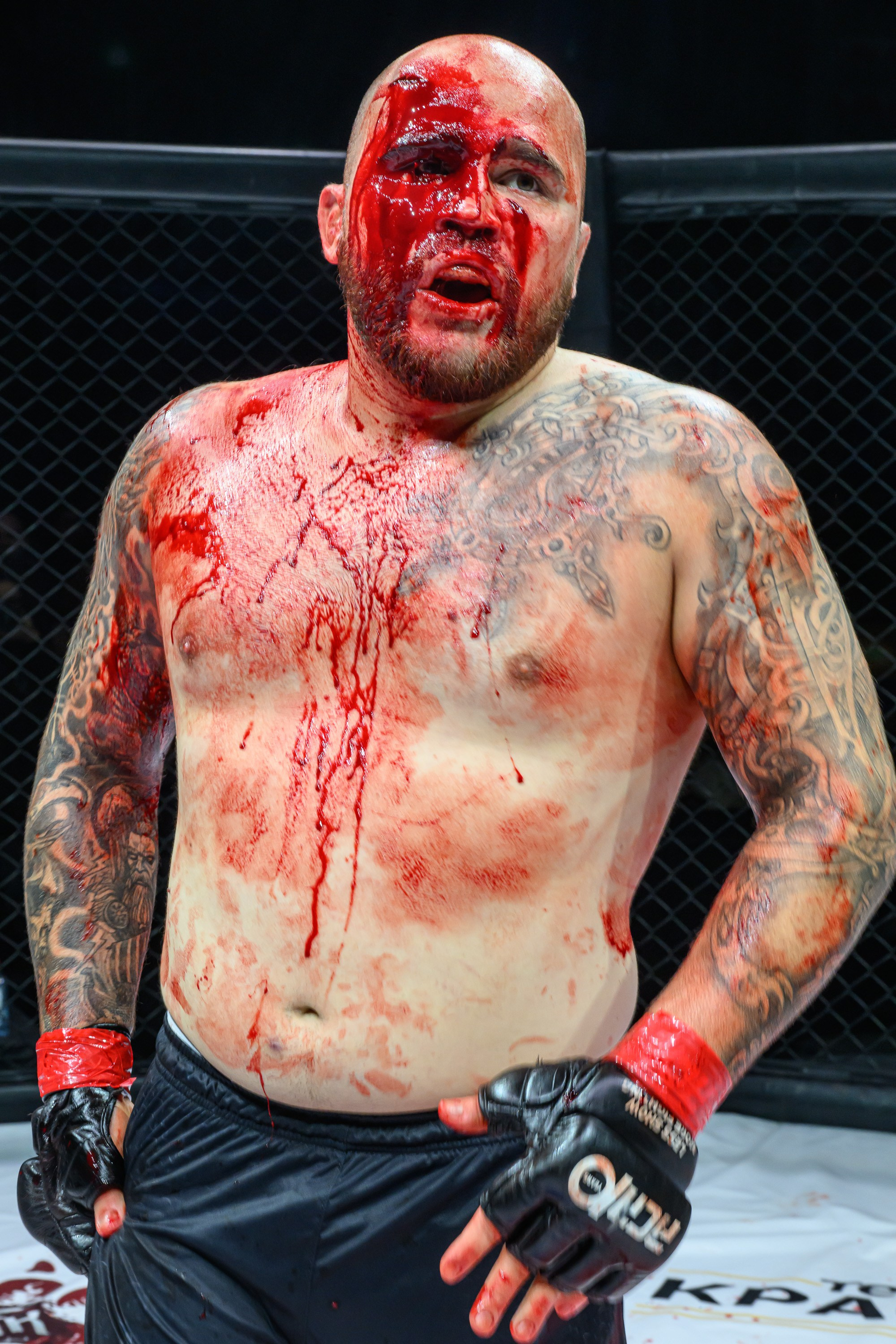 Фотосъемка профессионального турнира по смешанным единоборствам. Профессиональная фотосъемка. Ростов-на-Дону