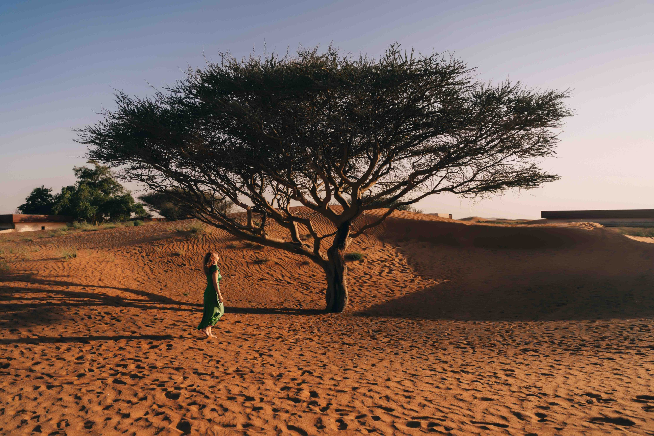 Фотосессия в пустыне ОАЭ с трансфером, выезд из Абу-Даби, Дубая, Фуджейры и других эмиратов. Дорога до пустыни занимает около 1 часа.