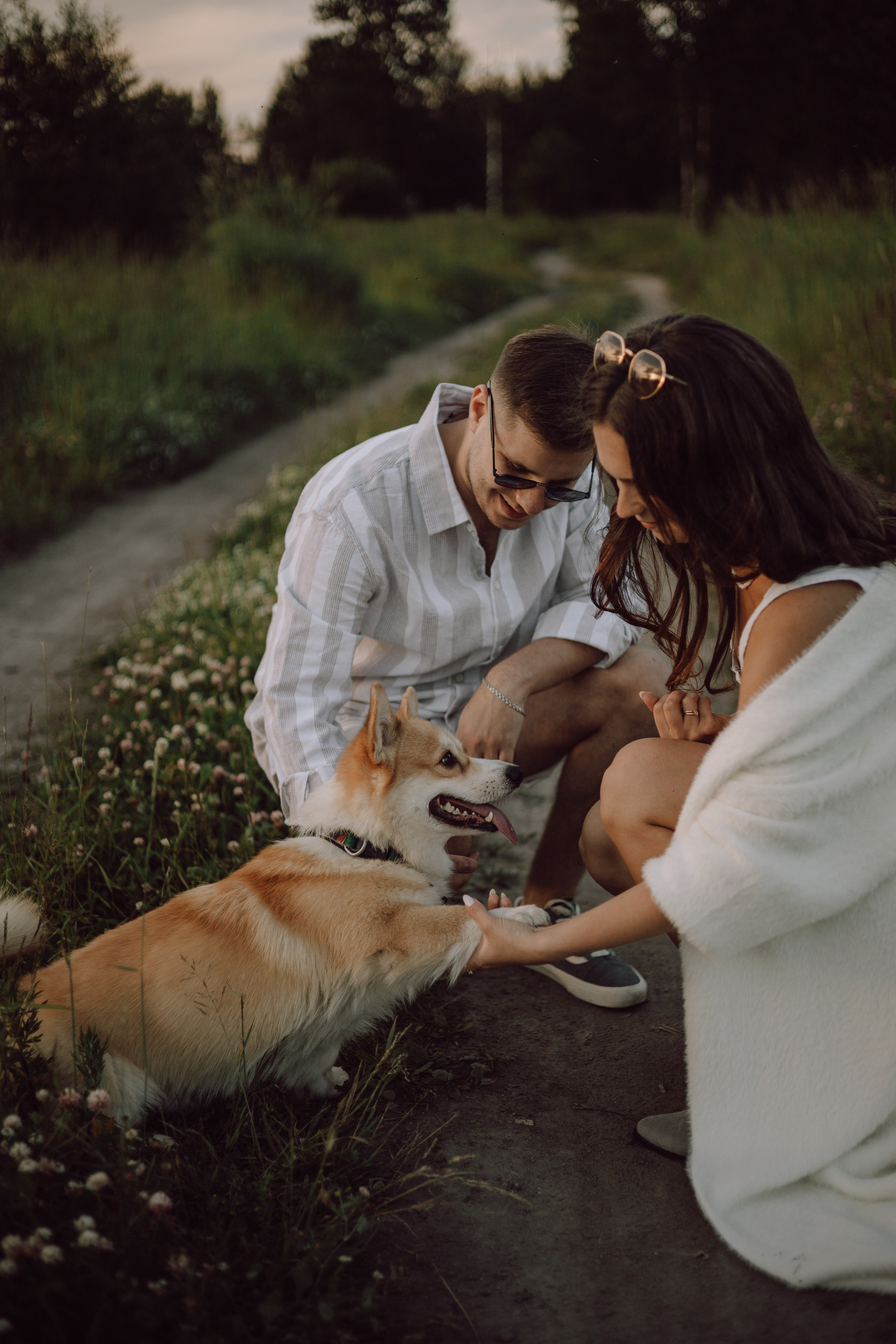 Фёдор и ребята. Фотограф — анималист •love-story•|Санкт-Петербург