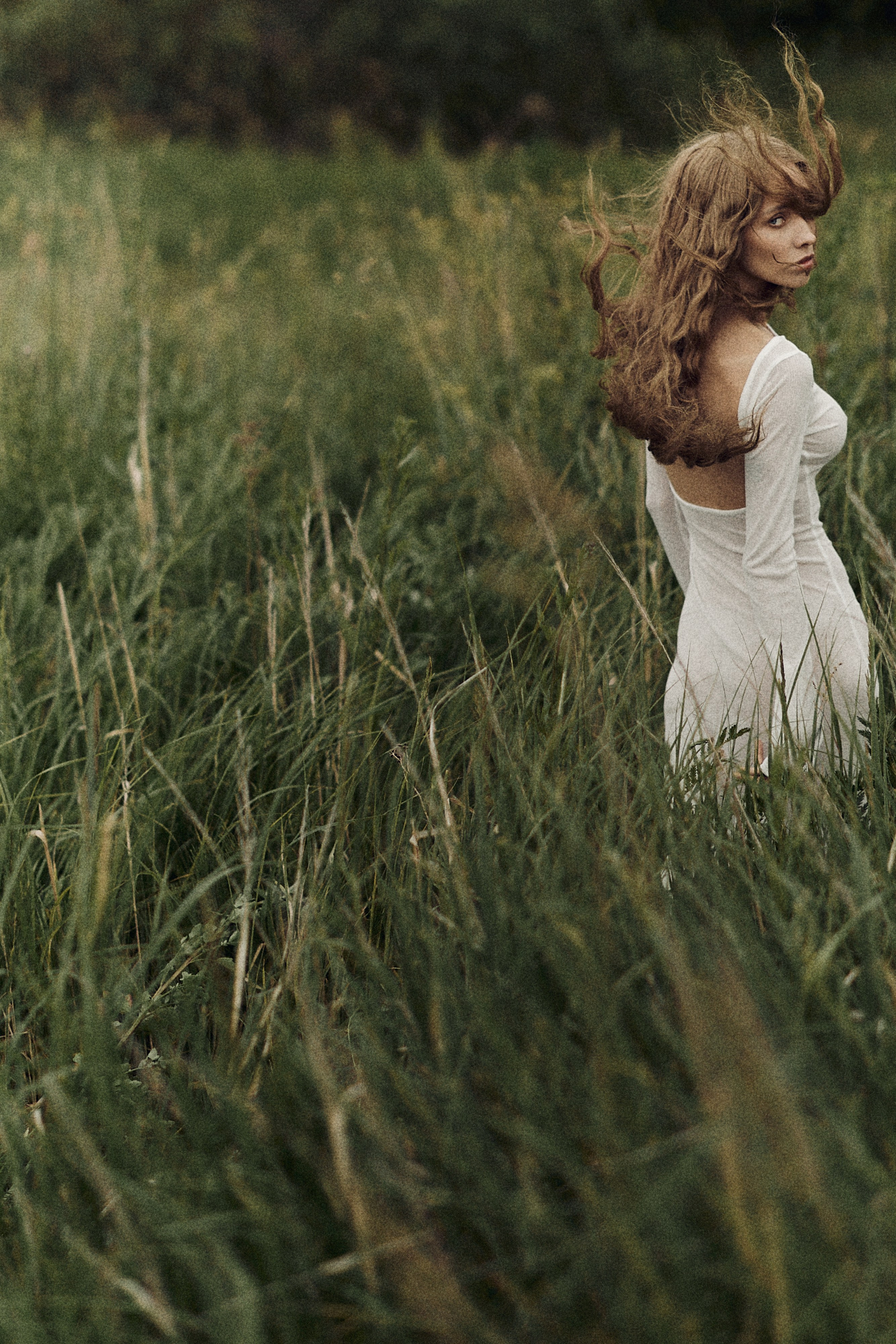 Виолетта и Александр. Свадебный и семейный фотограф в Иваново и Москве Мильков Вадим