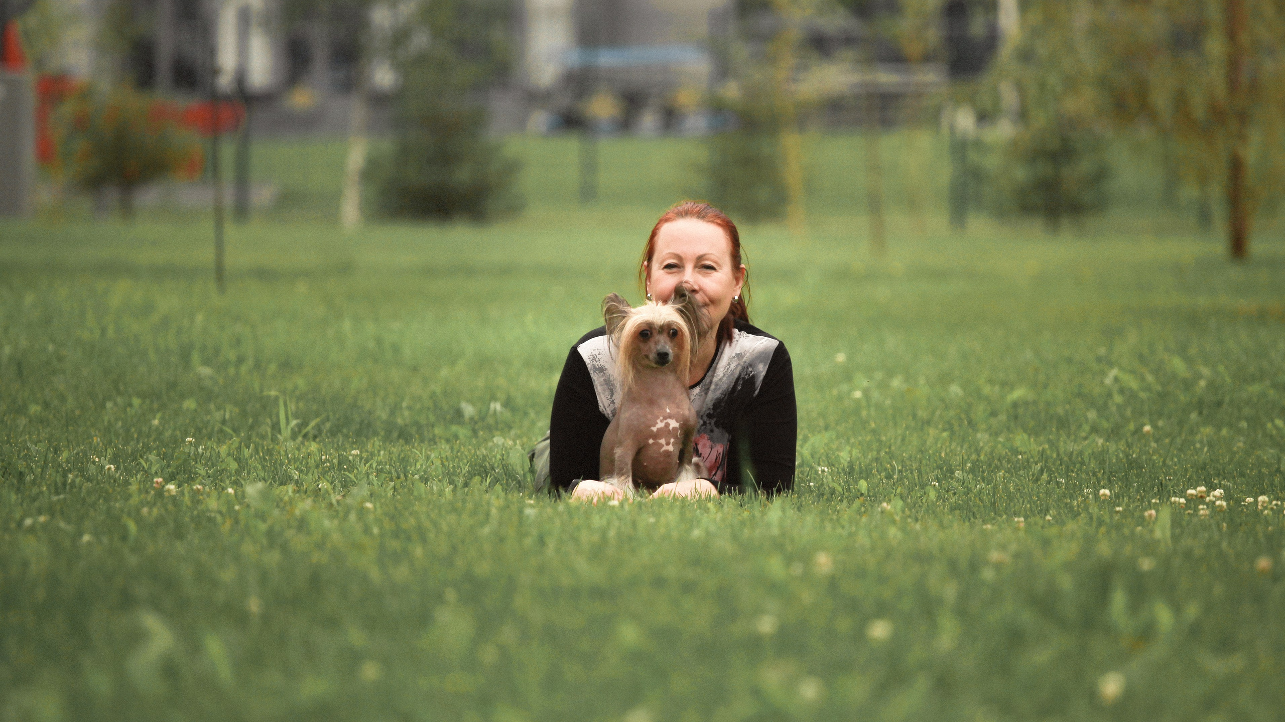 Poale Ell Clare. Chinese Crested Dog Kennel Poale Ell