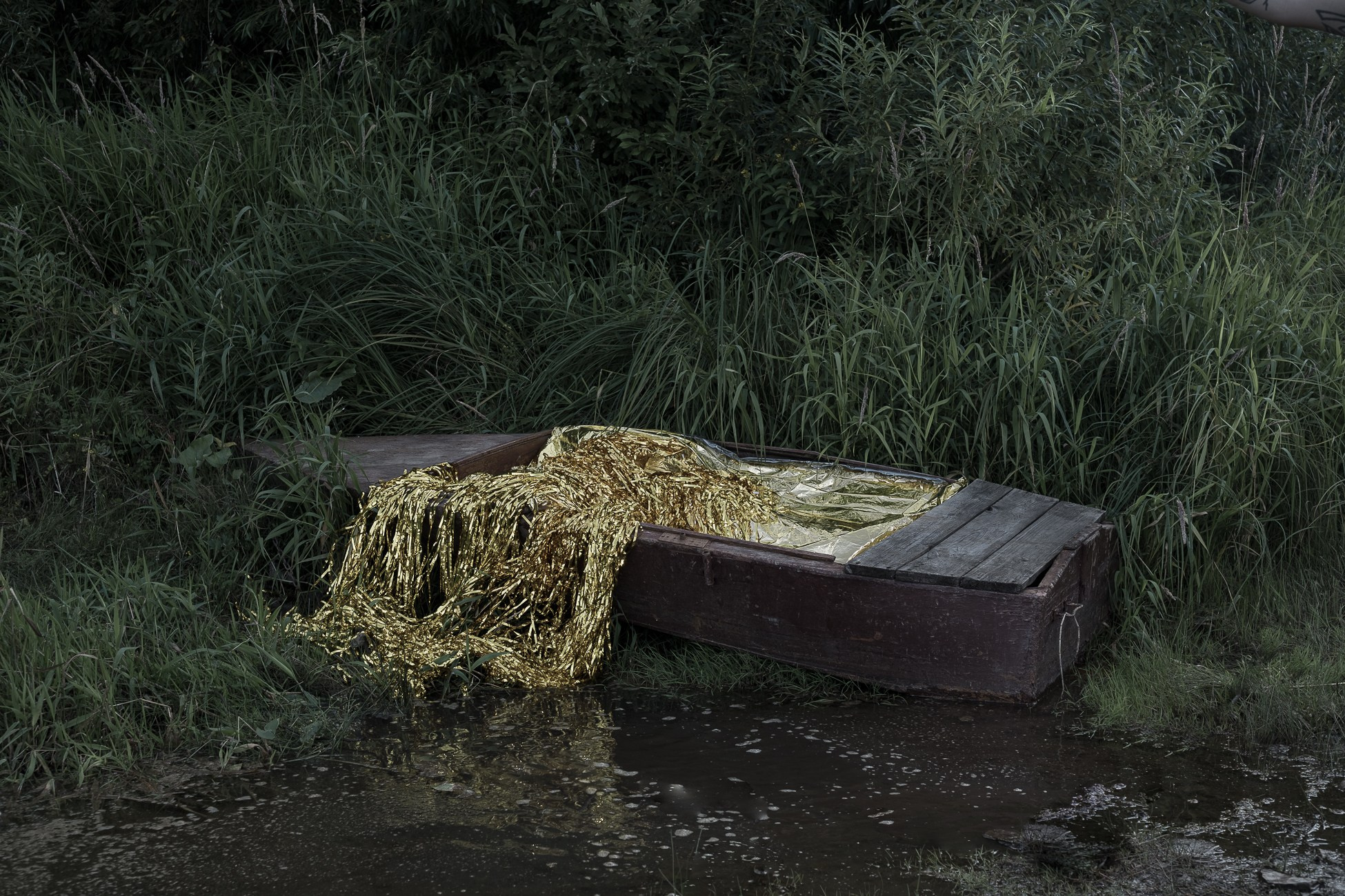 Treasure Trove. Natasha Lozinskaya | Photographer