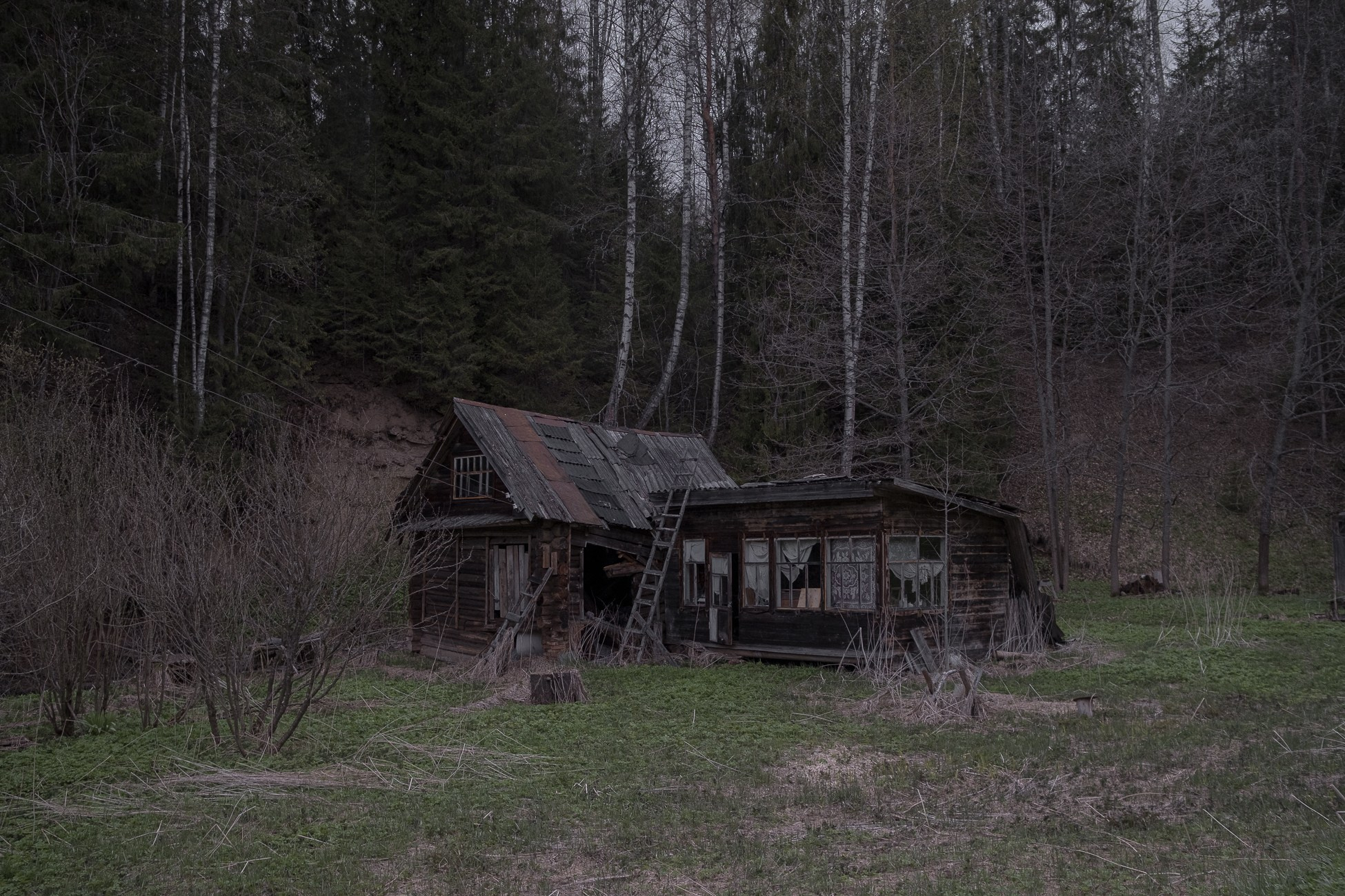 Treasure Trove. Natasha Lozinskaya | Photographer