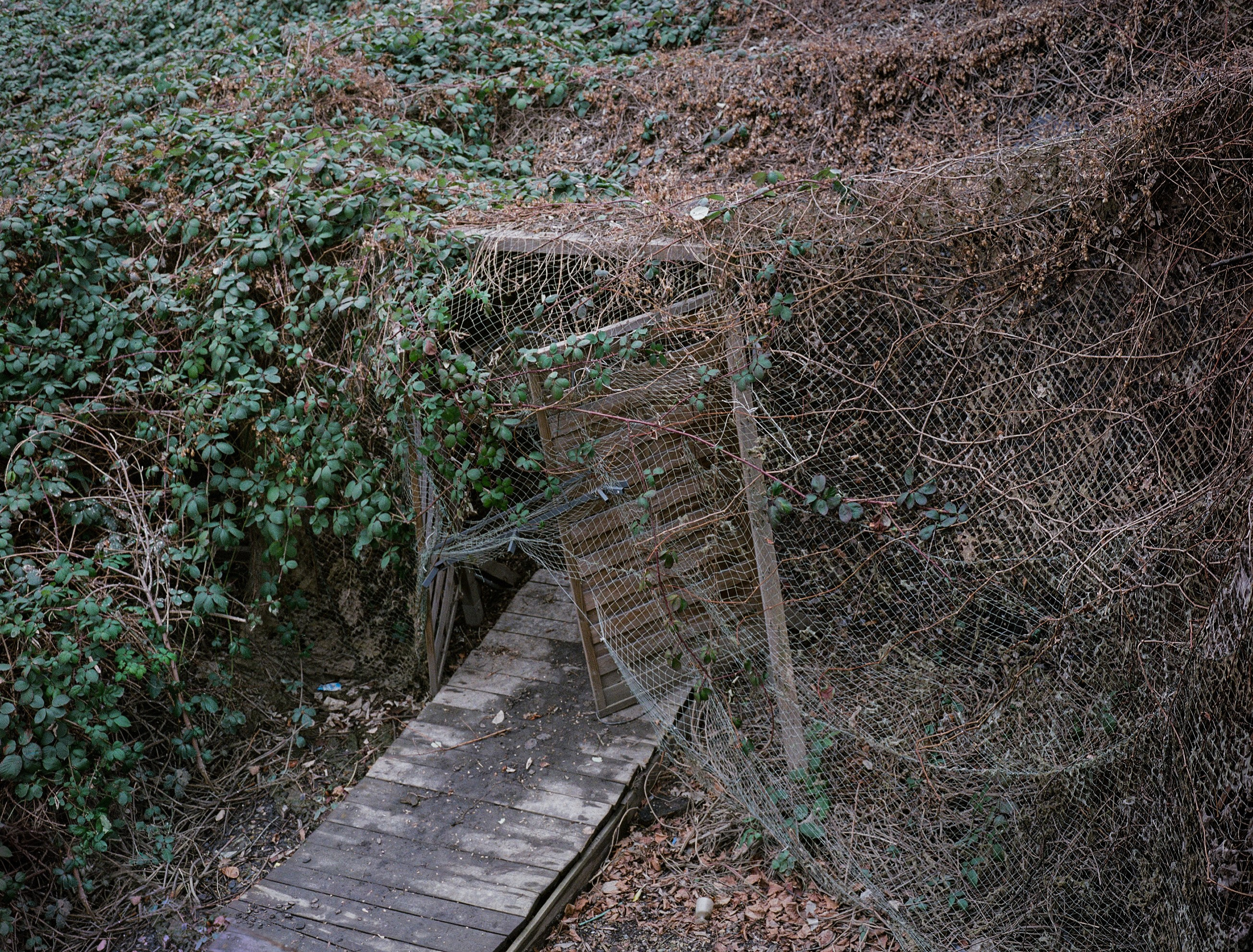 Dancing with absurdity. Photographer, Documentary and Art