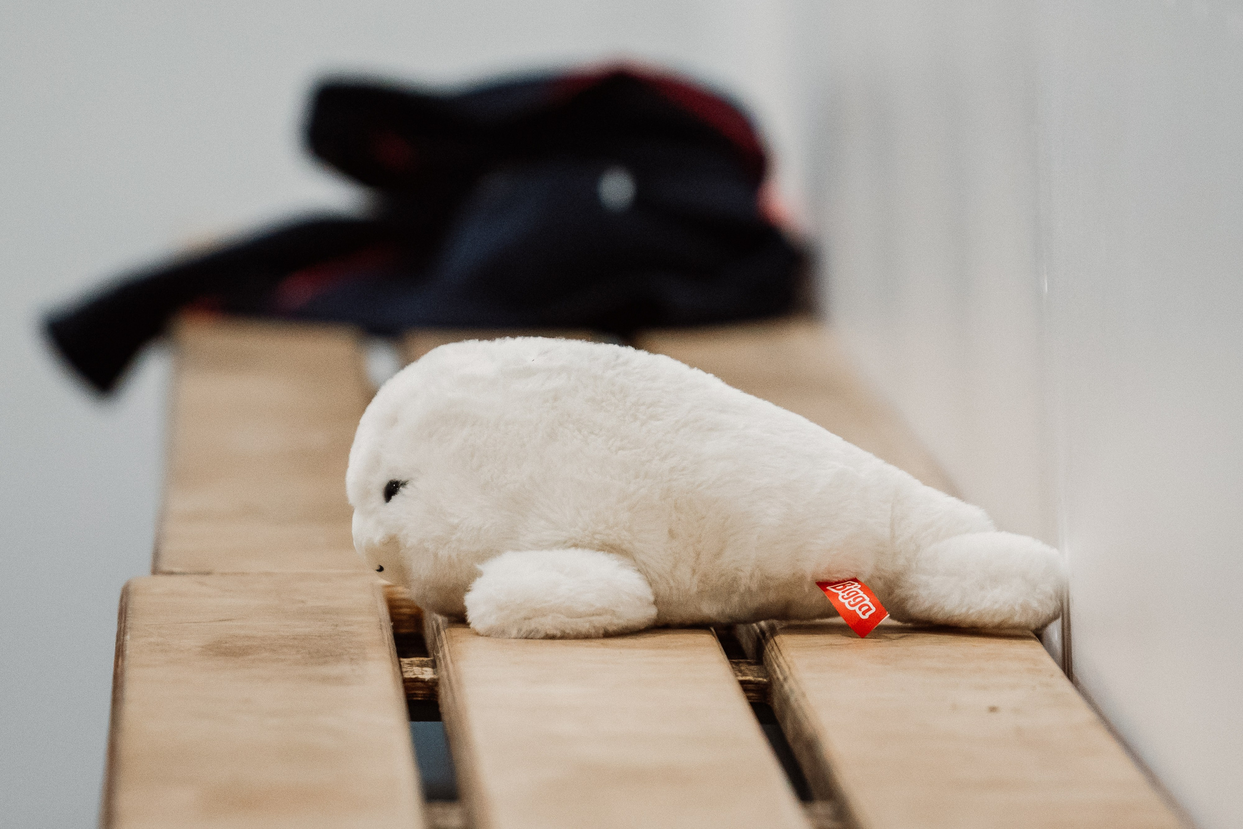 Соревнования по фигурному катанию на призы ФФКК НСО. Воробьева Ксения — Спортивный и танцевальный фотограф Новосибирск