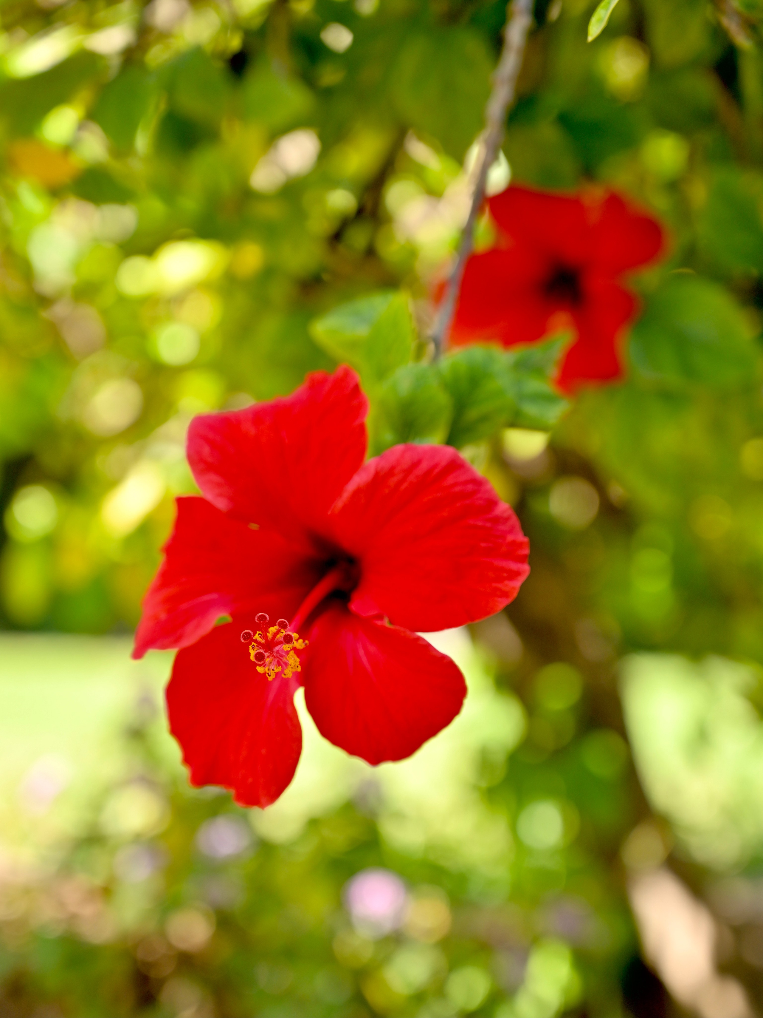 Перспектива и дальние планы на фотографии. Гид и фотограф в Валенсии Новиков Михаил