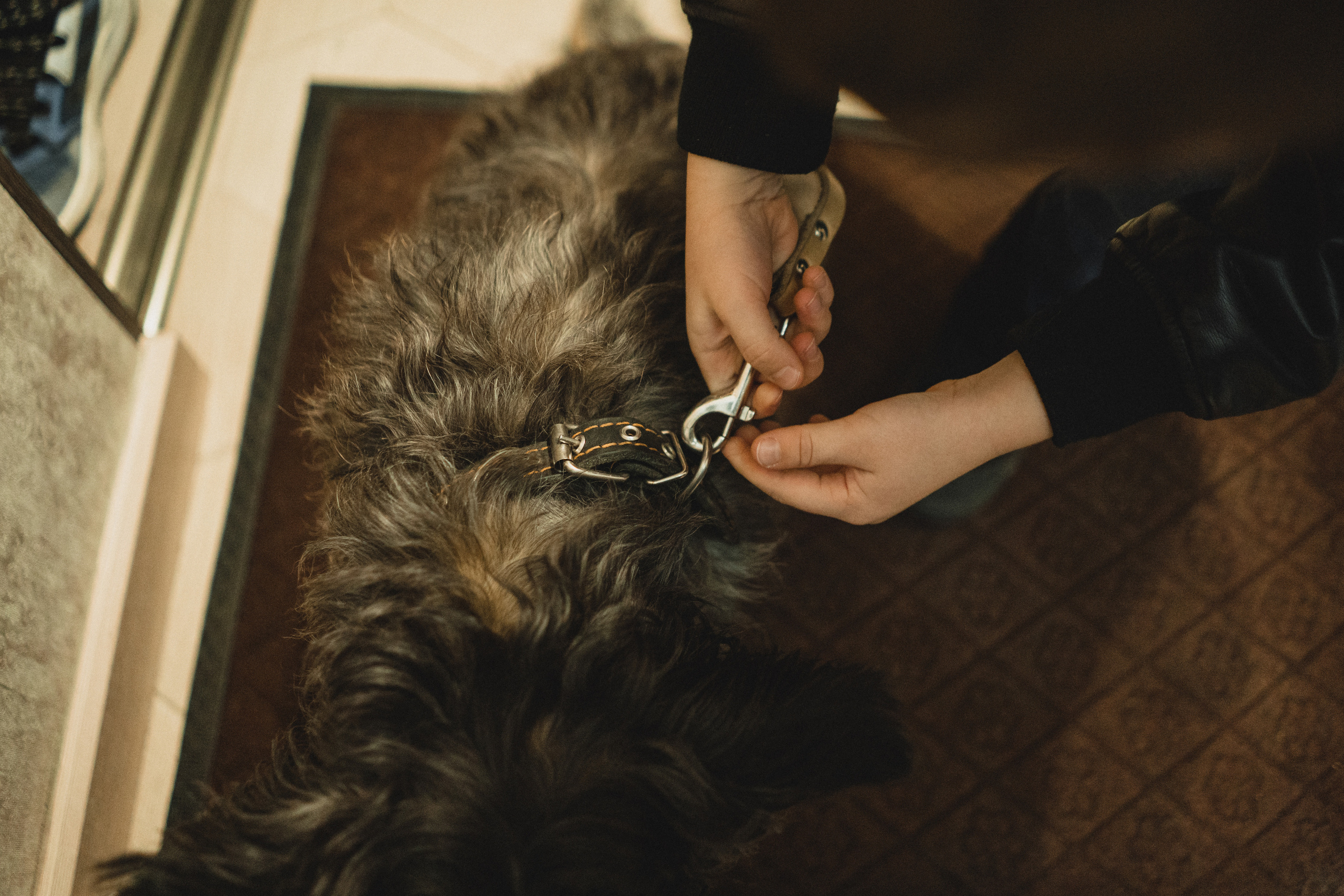 Семья Кулагиных. Свадебный и семейный фотограф в Абакане Василевский Алексей