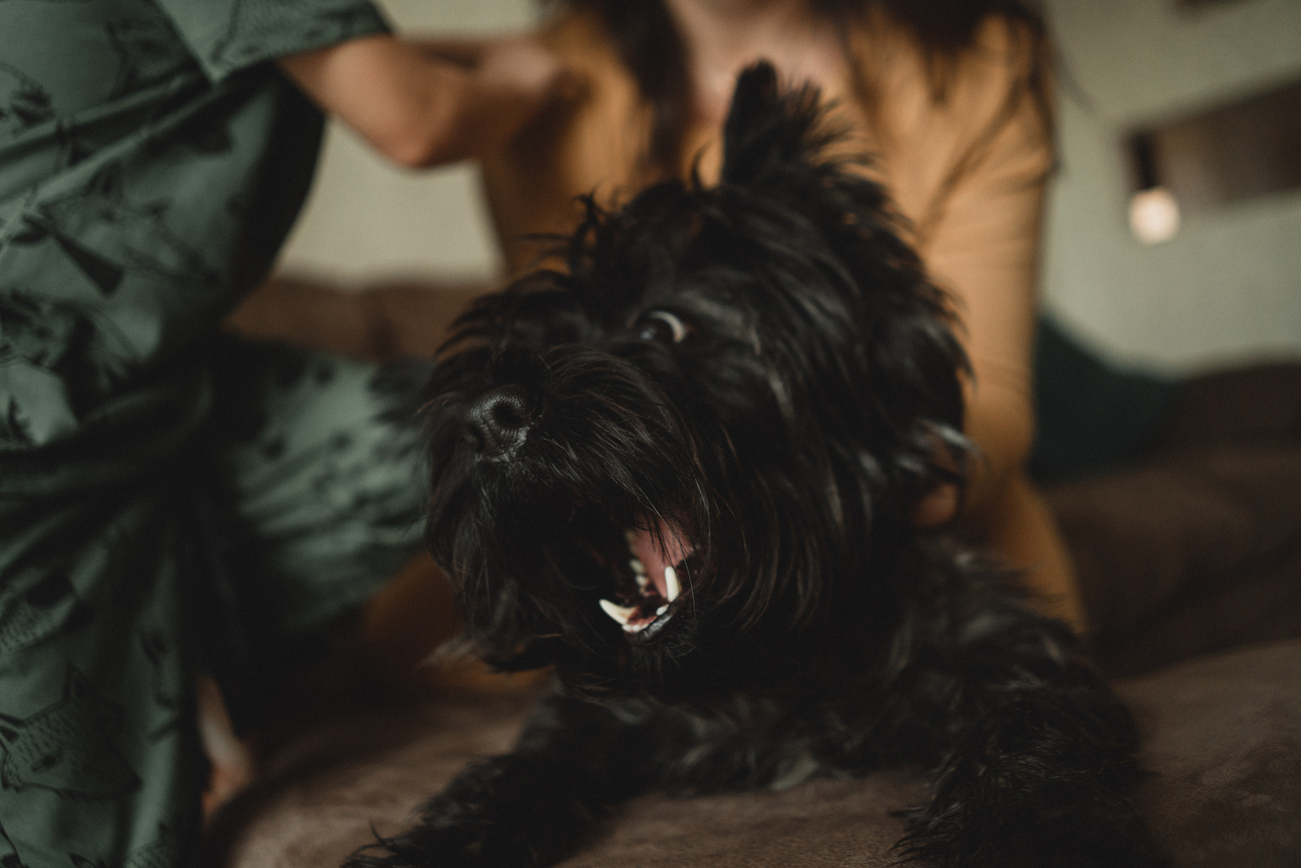 Семья Кулагиных. Свадебный и семейный фотограф в Абакане Василевский Алексей