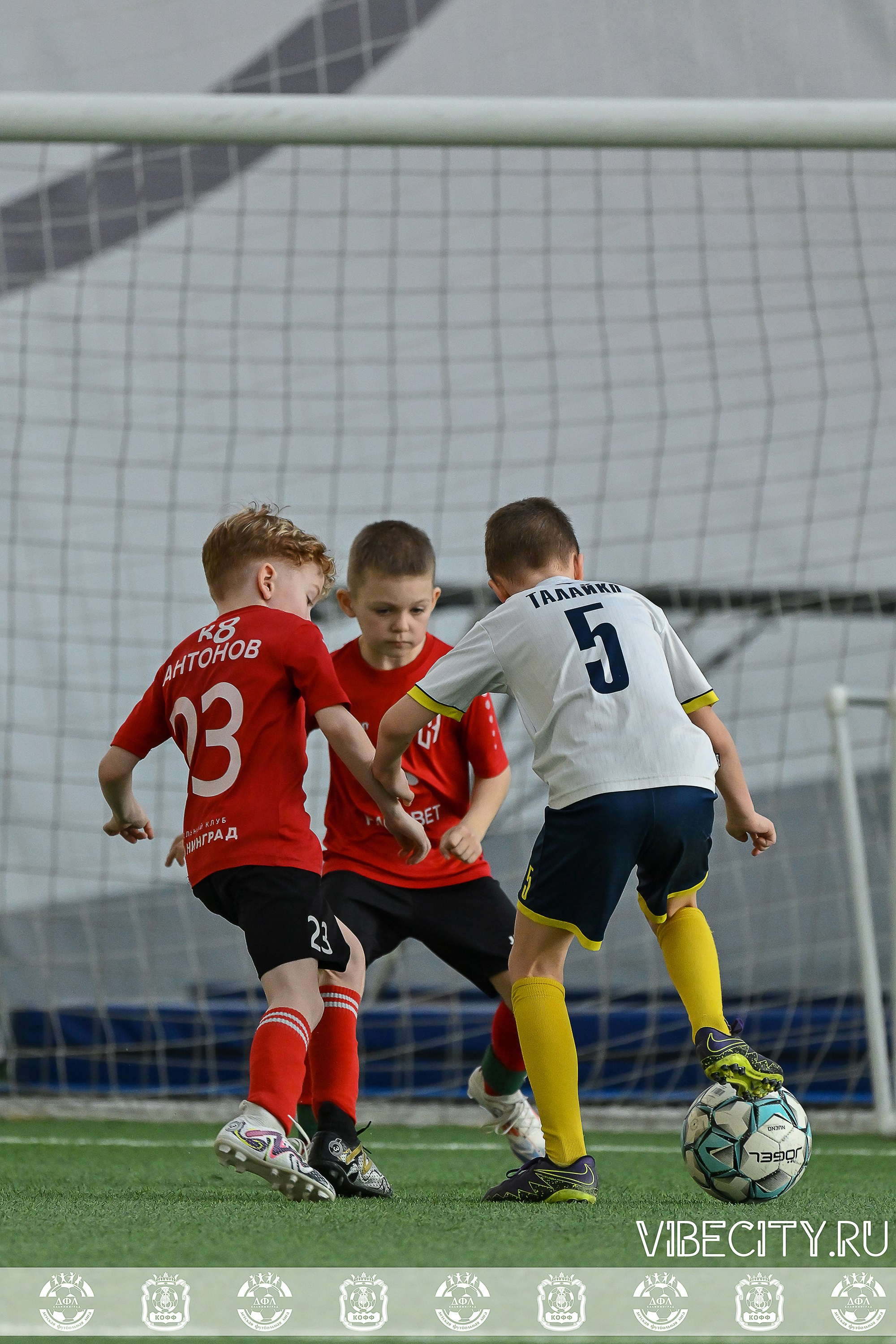 КУБОК БАЛТИЙСКОЙ ЛИГИ U9 СЛ. VIBECITY.RU Вайб Сити Ру Фоторепортажи Фотоотчеты Калининград