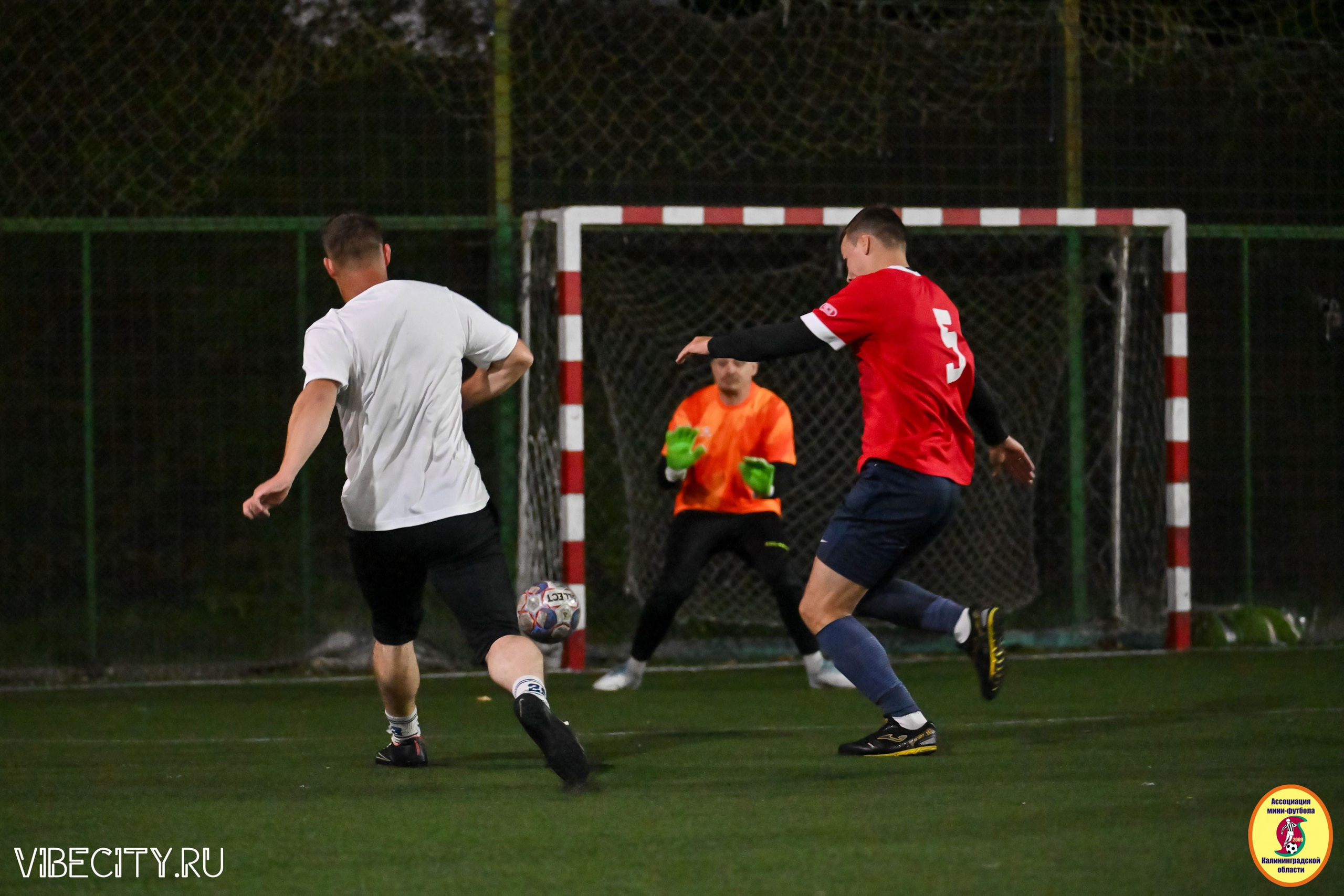 КУБОК ДРУЖБЫ. VIBECITY.RU Вайб Сити Ру Фоторепортажи Фотоотчеты Калининград