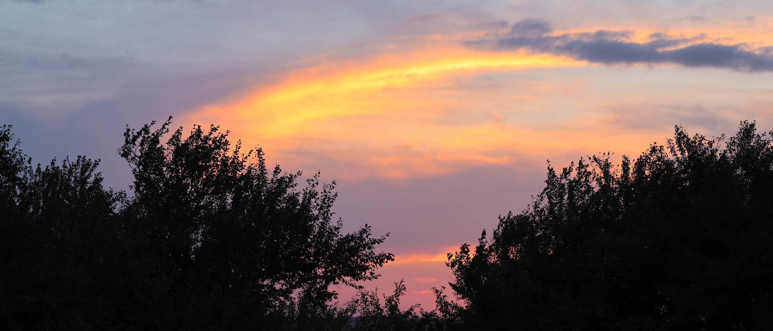 Мария Алексеева. Фотограф в Москве