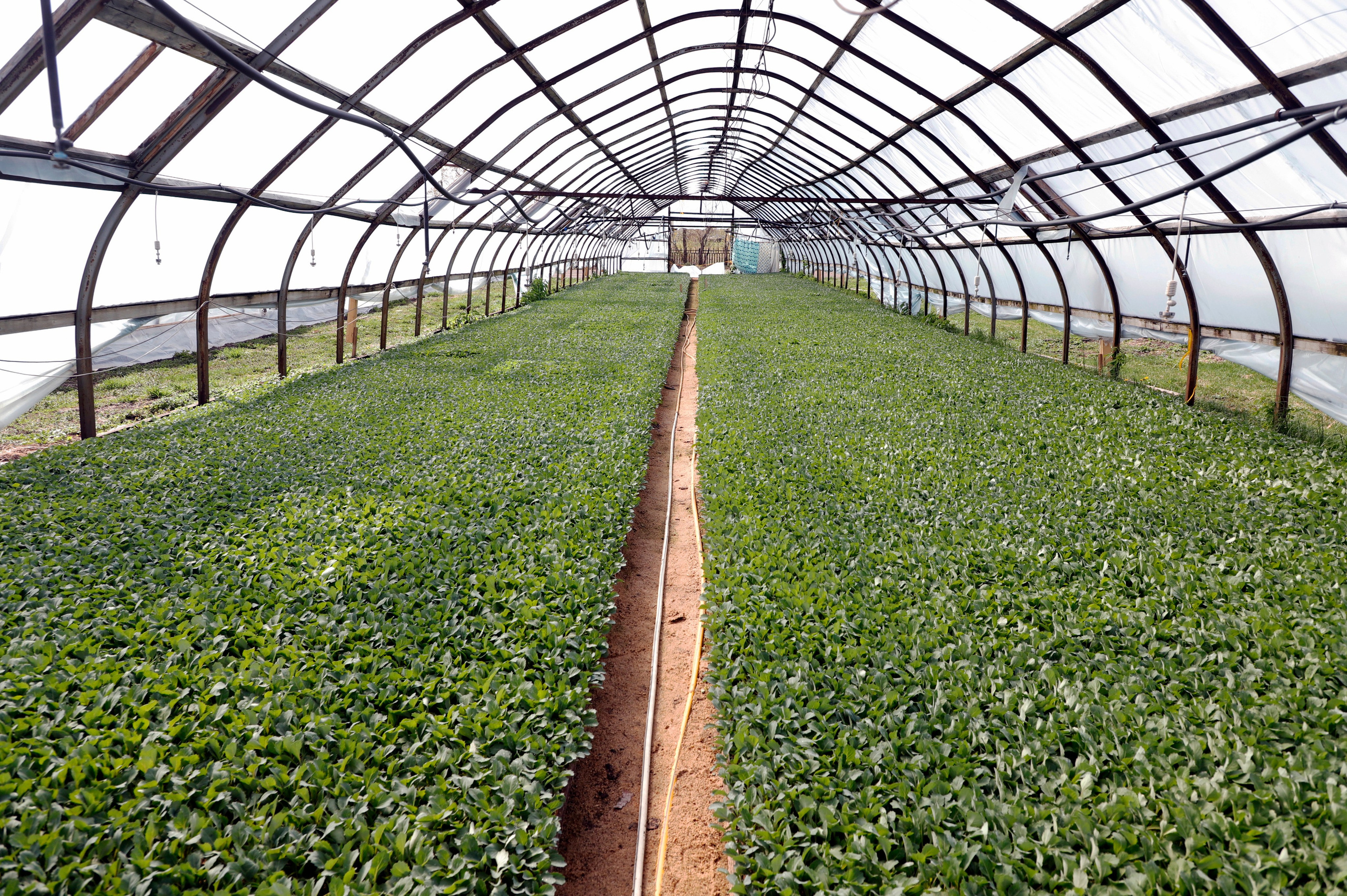 Бизнес и производство. Репортажное и контент фото для бизнеса. Клим Мурашкин. Кемерово