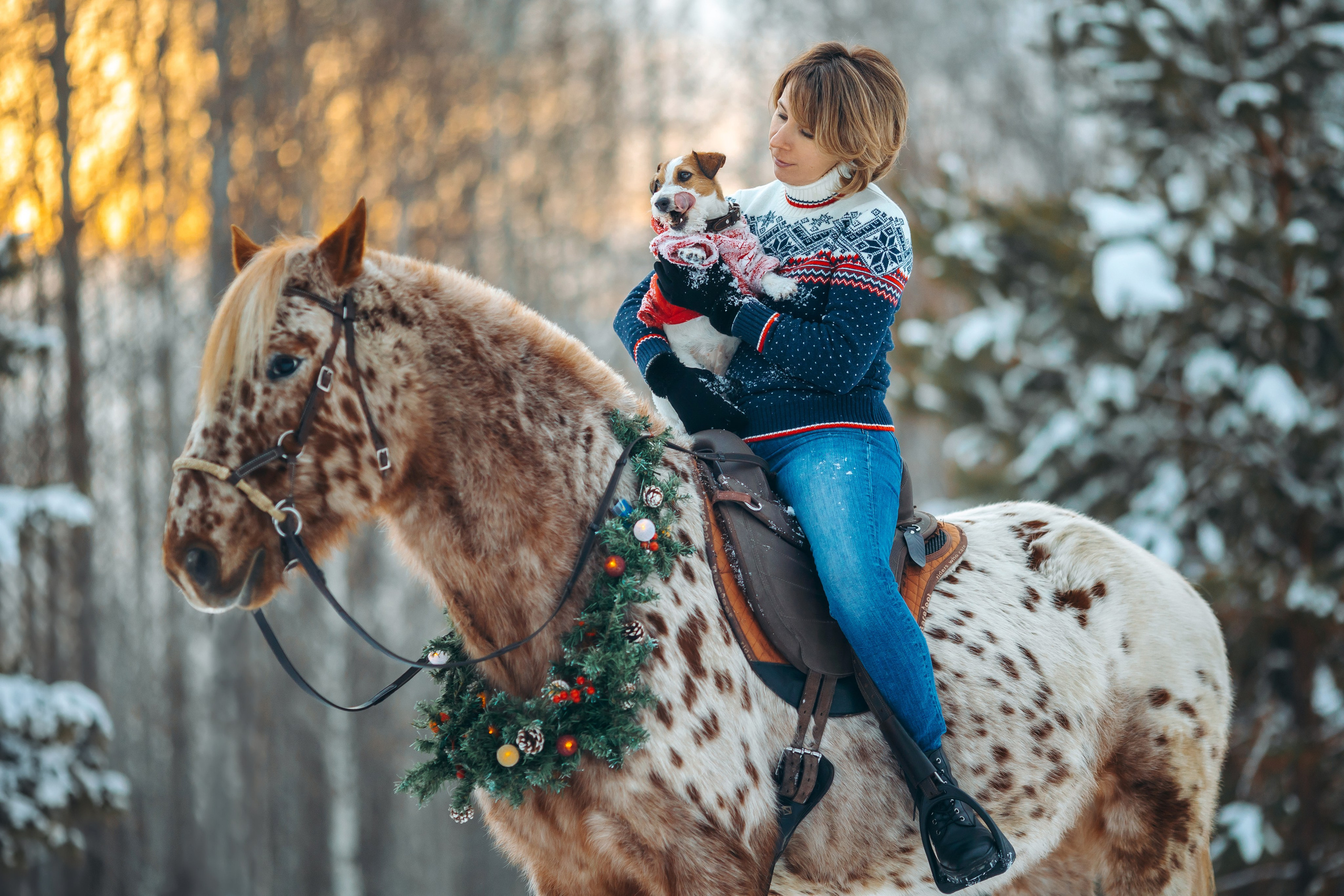 Тариф новогодний 2024. Анна Молчанова конный фотограф в Тюмени | фотосессии с лошадьми Тюмень