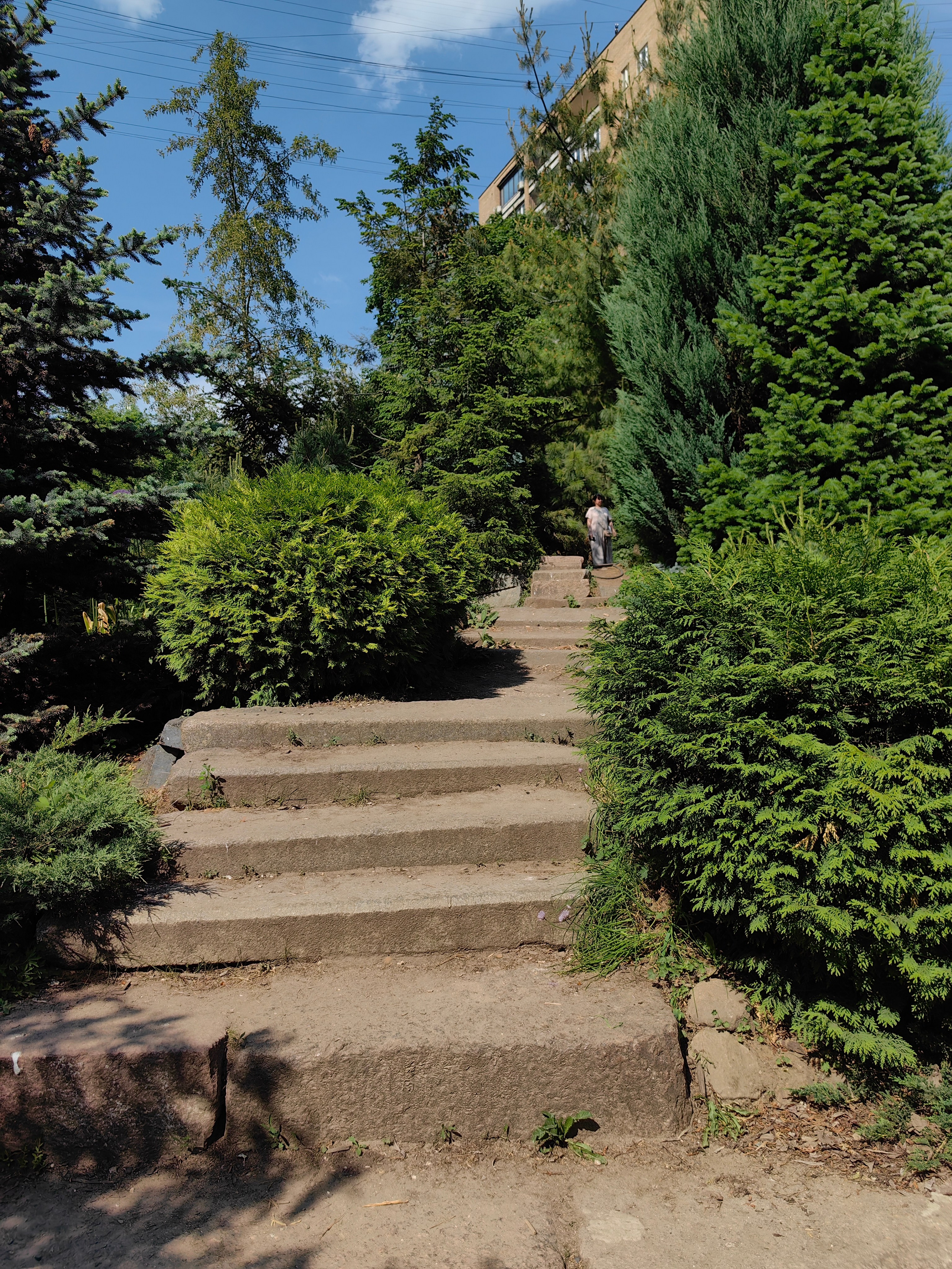 Парк АПТЕКАРСКИЙ ОГОРОД обзор. Фотограф в Москве и Московской области (Ю-В) Олеся Макарова