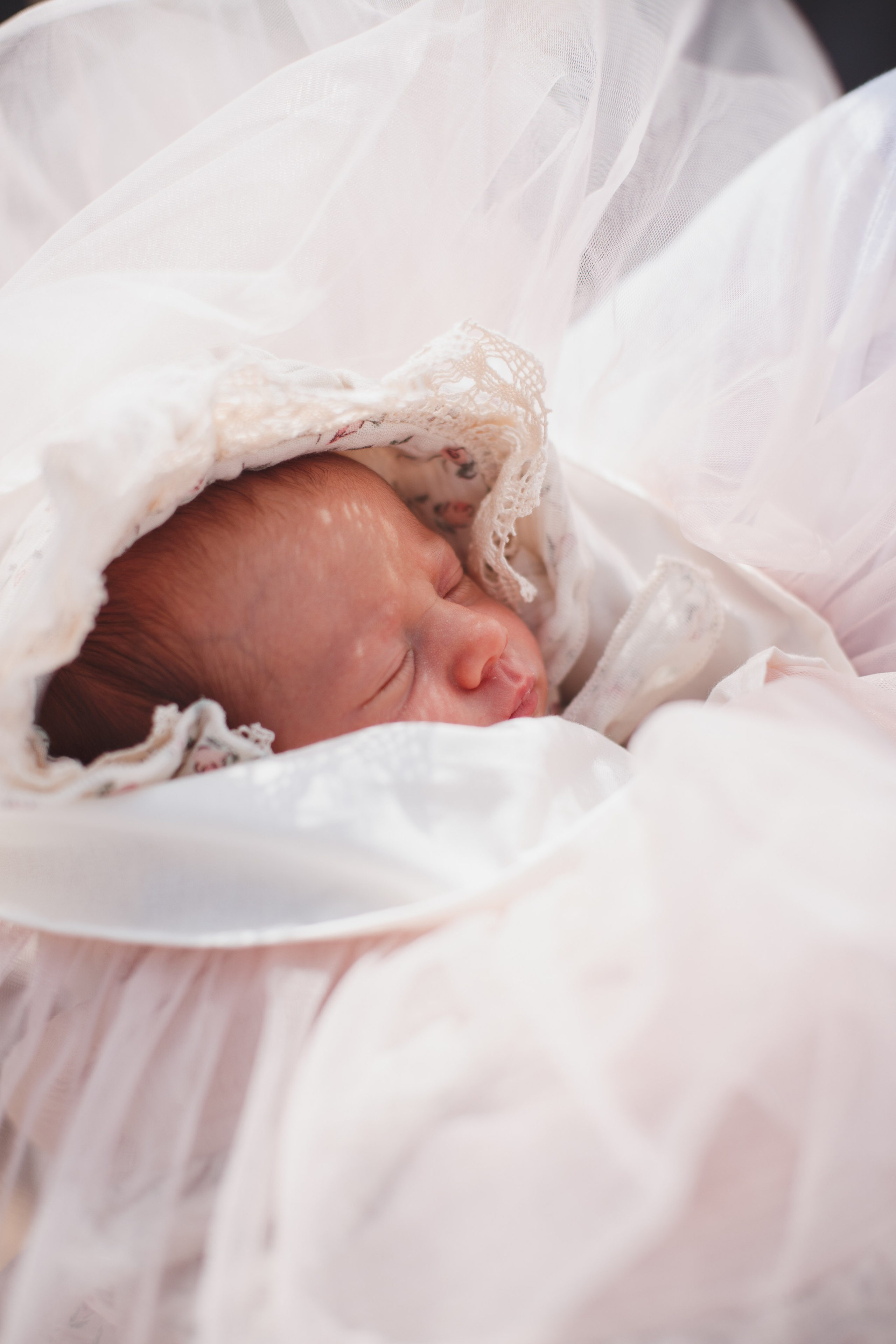 Фотограф на выписку из роддома в Белгороде. Свадебный и контент фотограф в Белгороде Ярослав Гаврилейченко